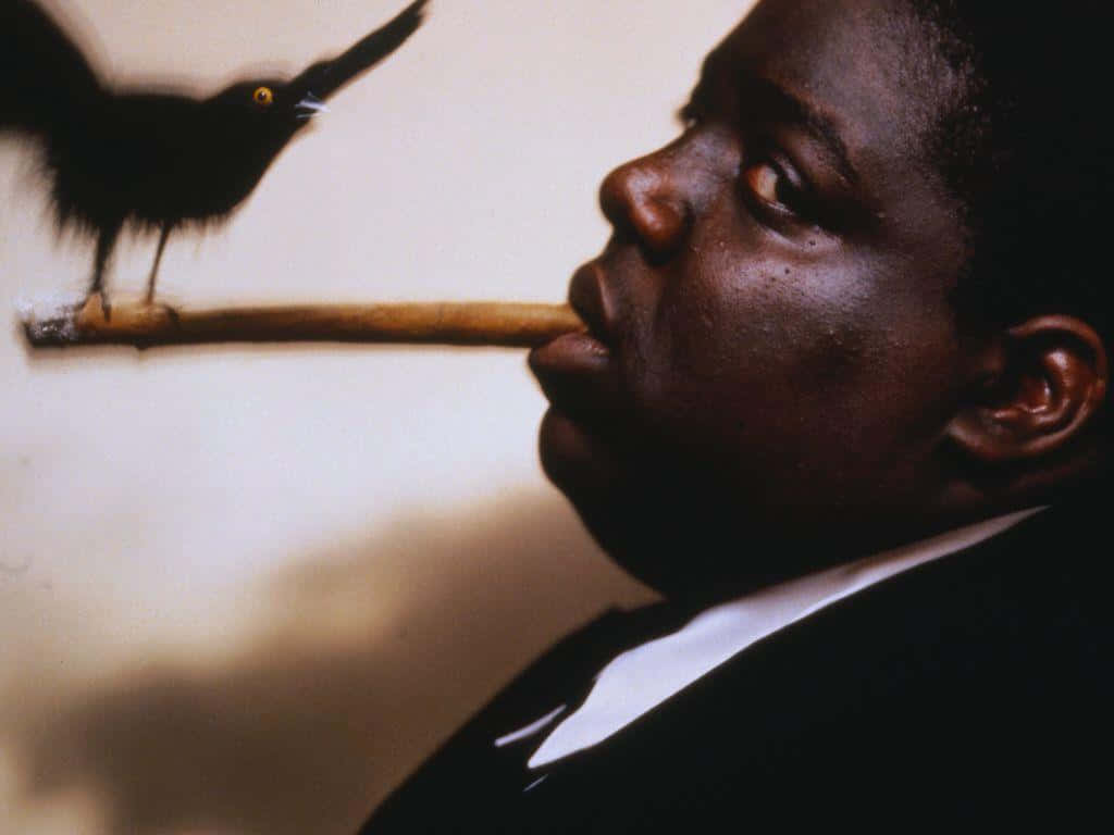Biggie Smalls, suit, black bird, SD Desktop Wallpaper
