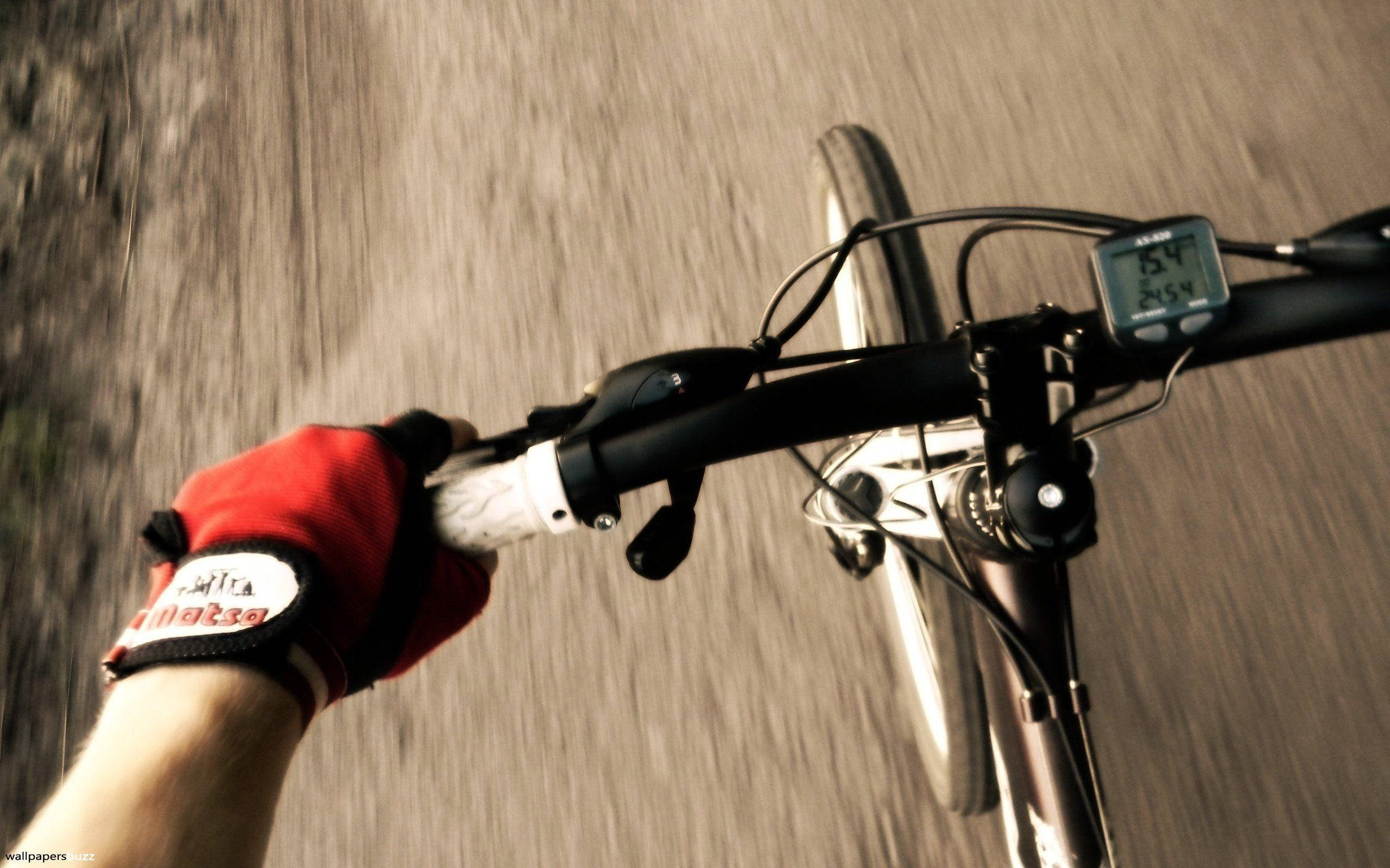 Bike Ride, red gloves, handlebars, 2K Desktop Wallpaper