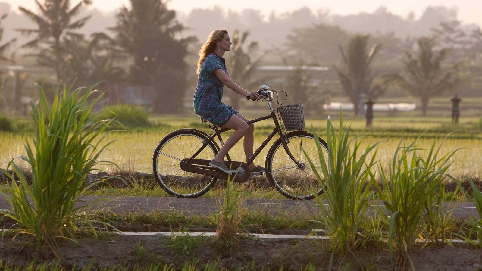 vintage bicycle, rural road, lush green rice fields, HD Desktop Wallpaper