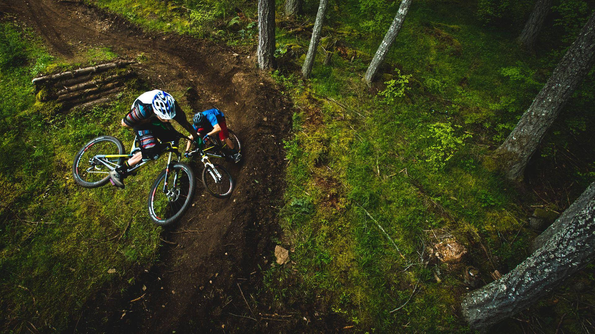 mountain bikers, muddy forest trail, mossy trees, Full HD Desktop Wallpaper