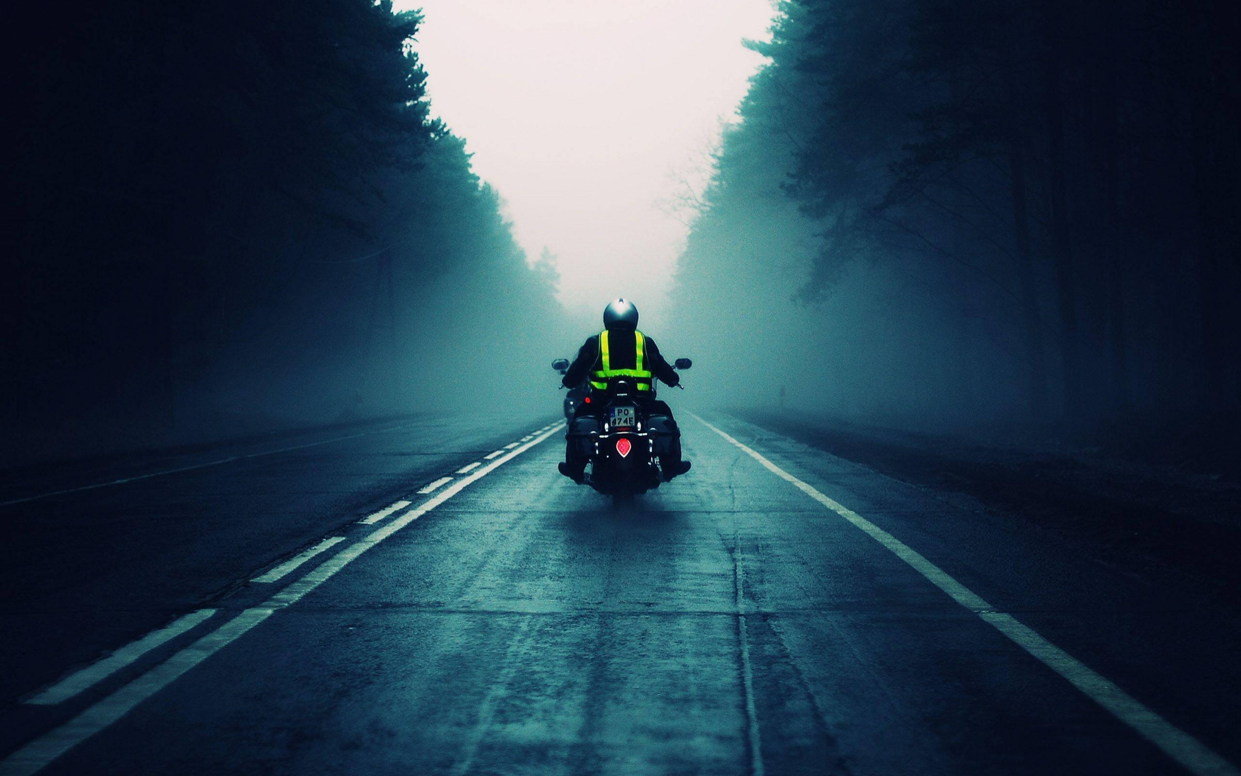 foggy bike ride, bright yellow vest, misty forest road, 2K Desktop Wallpaper