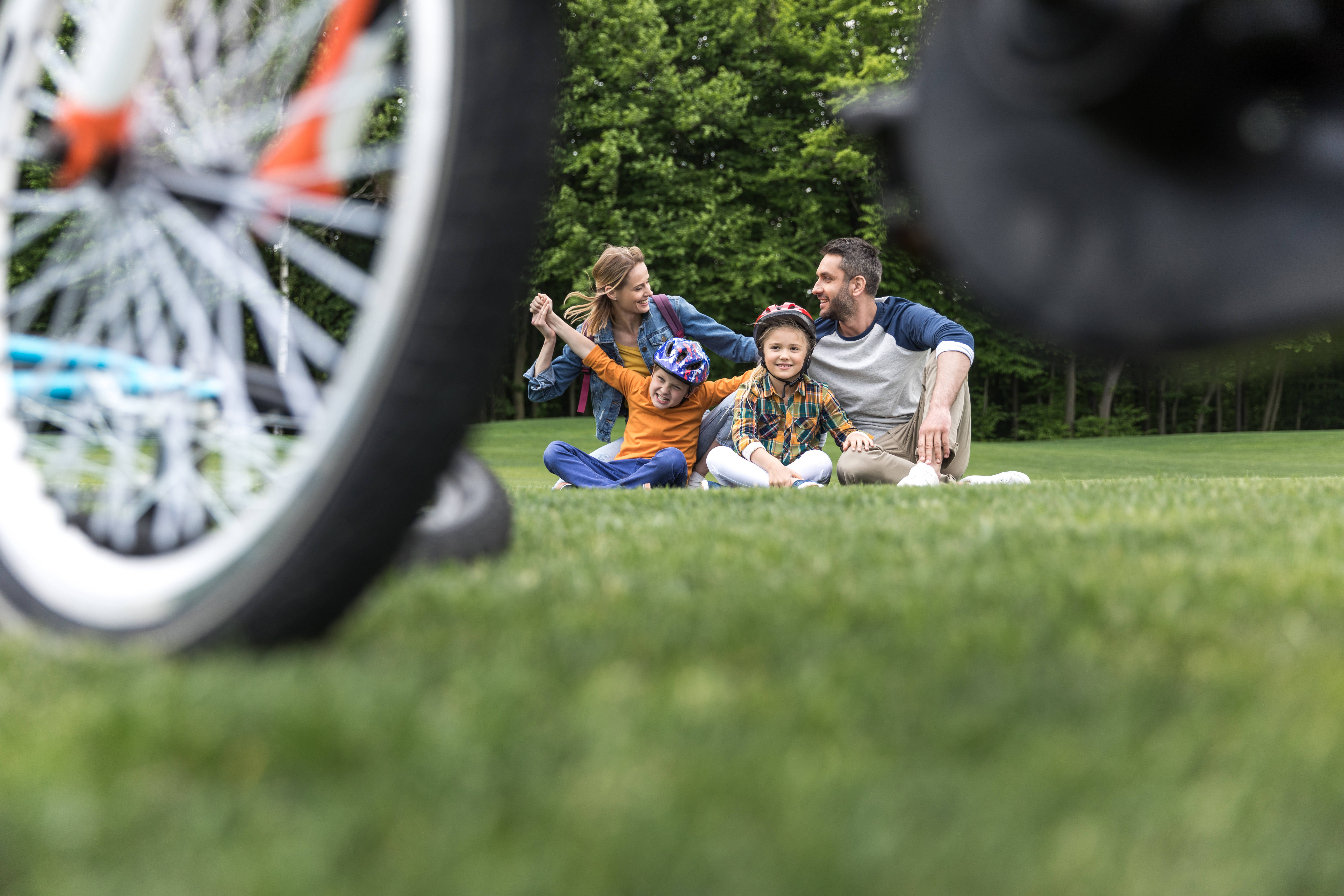 family of four, bicycle wheels, vibrant green grass, 5K Desktop Wallpaper