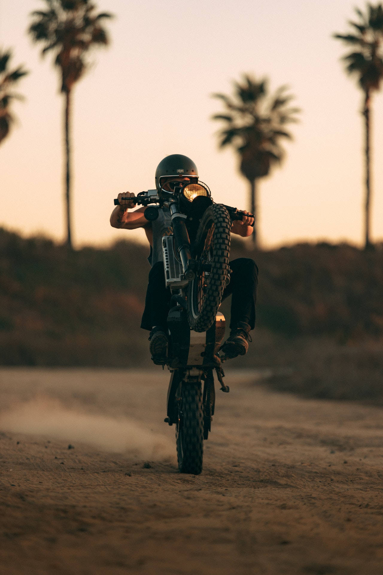 dirt bike, dusty trail, palm trees, Full HD Phone Wallpaper