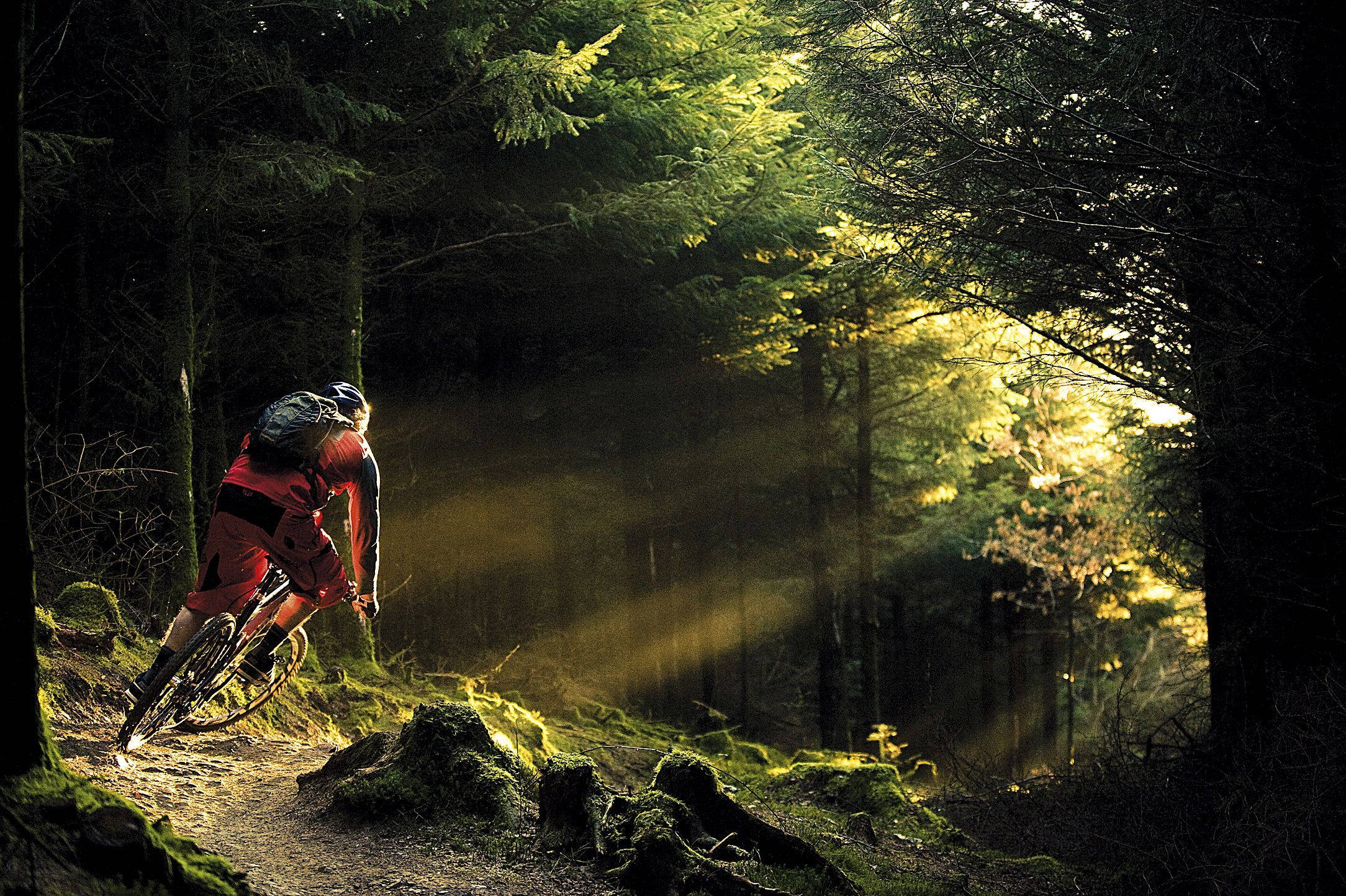 mtb rider, forest, sunlight, Full HD Desktop Wallpaper