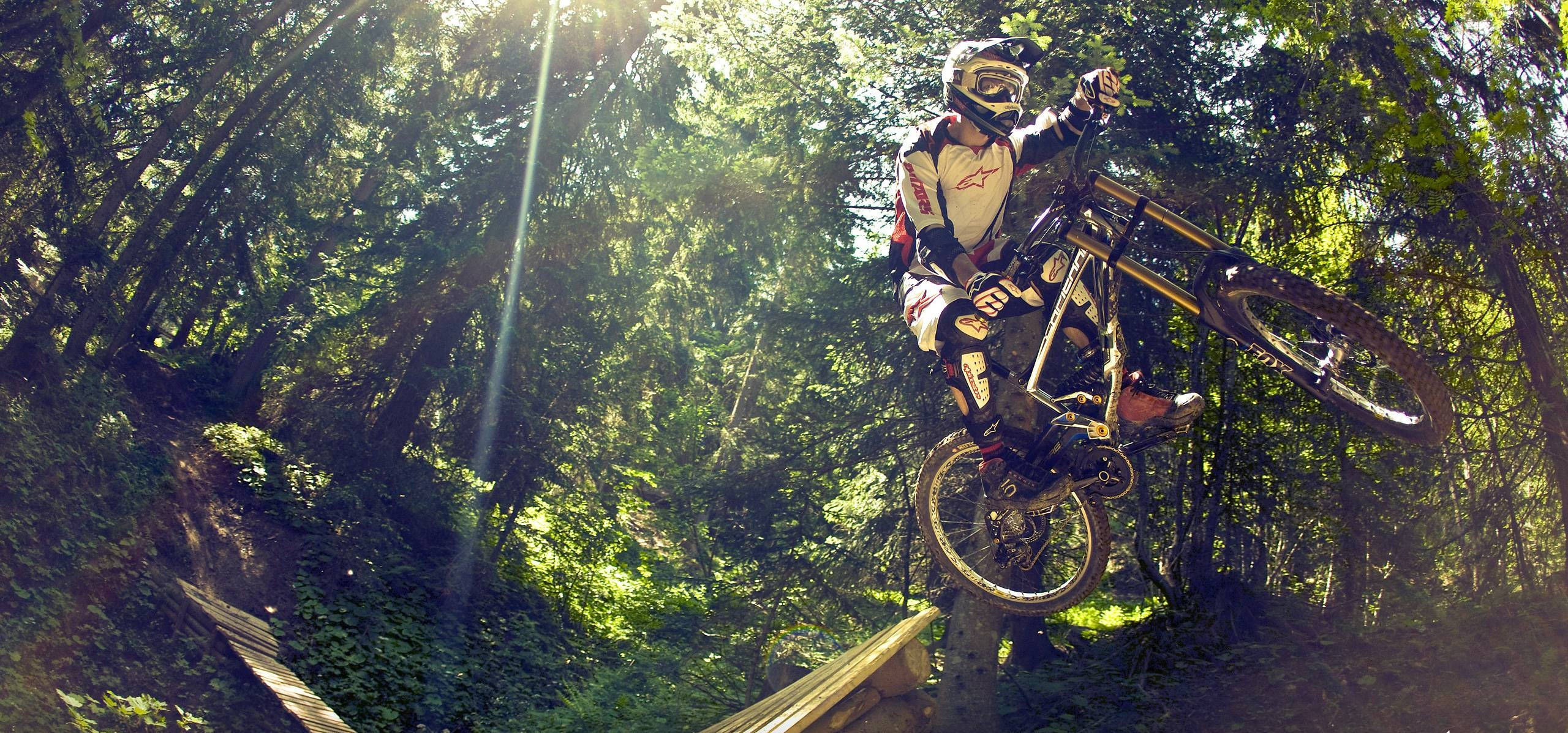 white mtb rider, forest, sunlit forest canopy, 2K Desktop Wallpaper