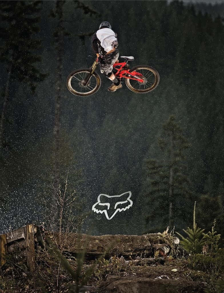 Mountain Bike, red bike, green forest, SD Phone Wallpaper