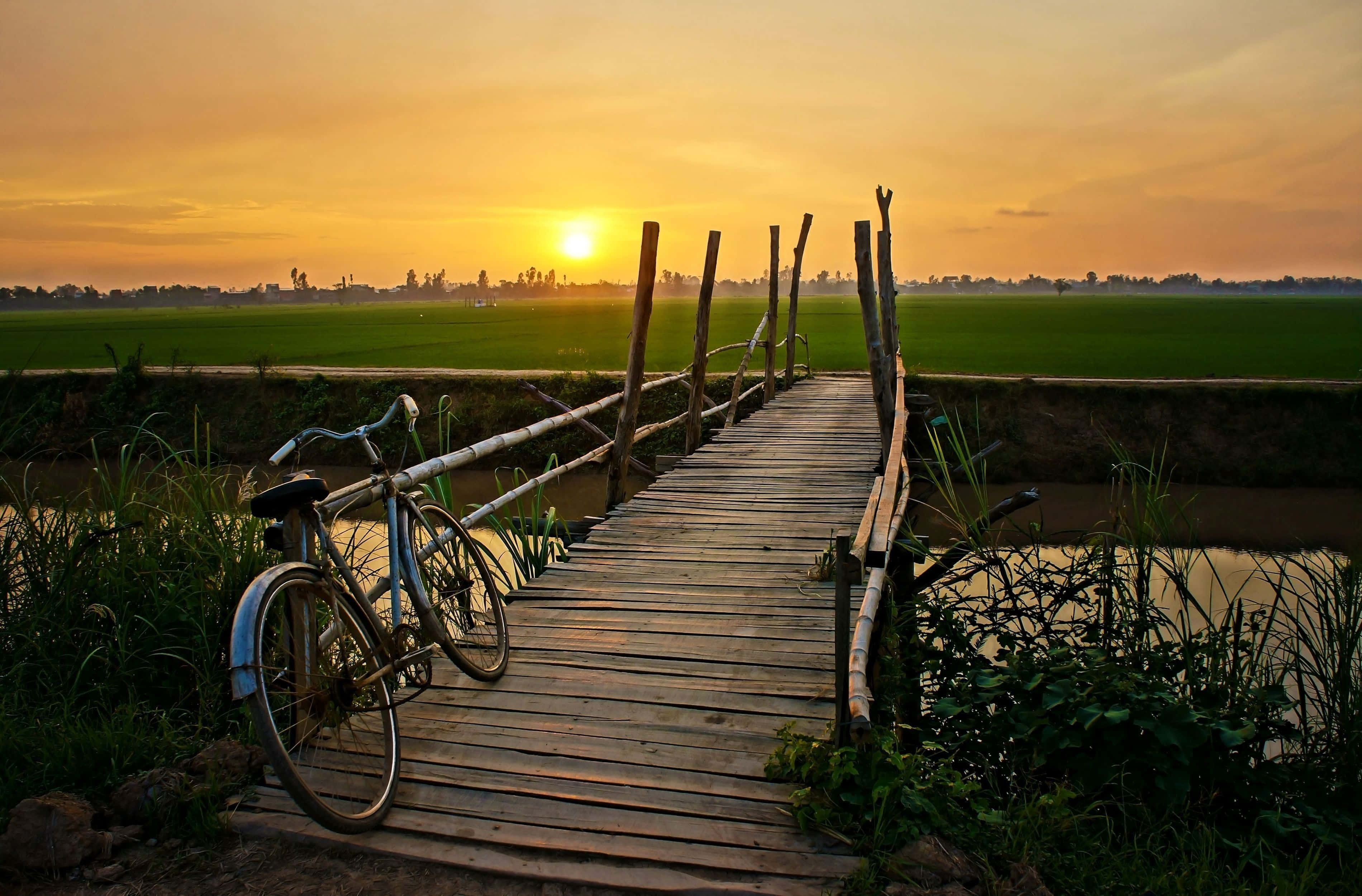 wooden bridge, bicycle, canal, 2K Desktop Wallpaper