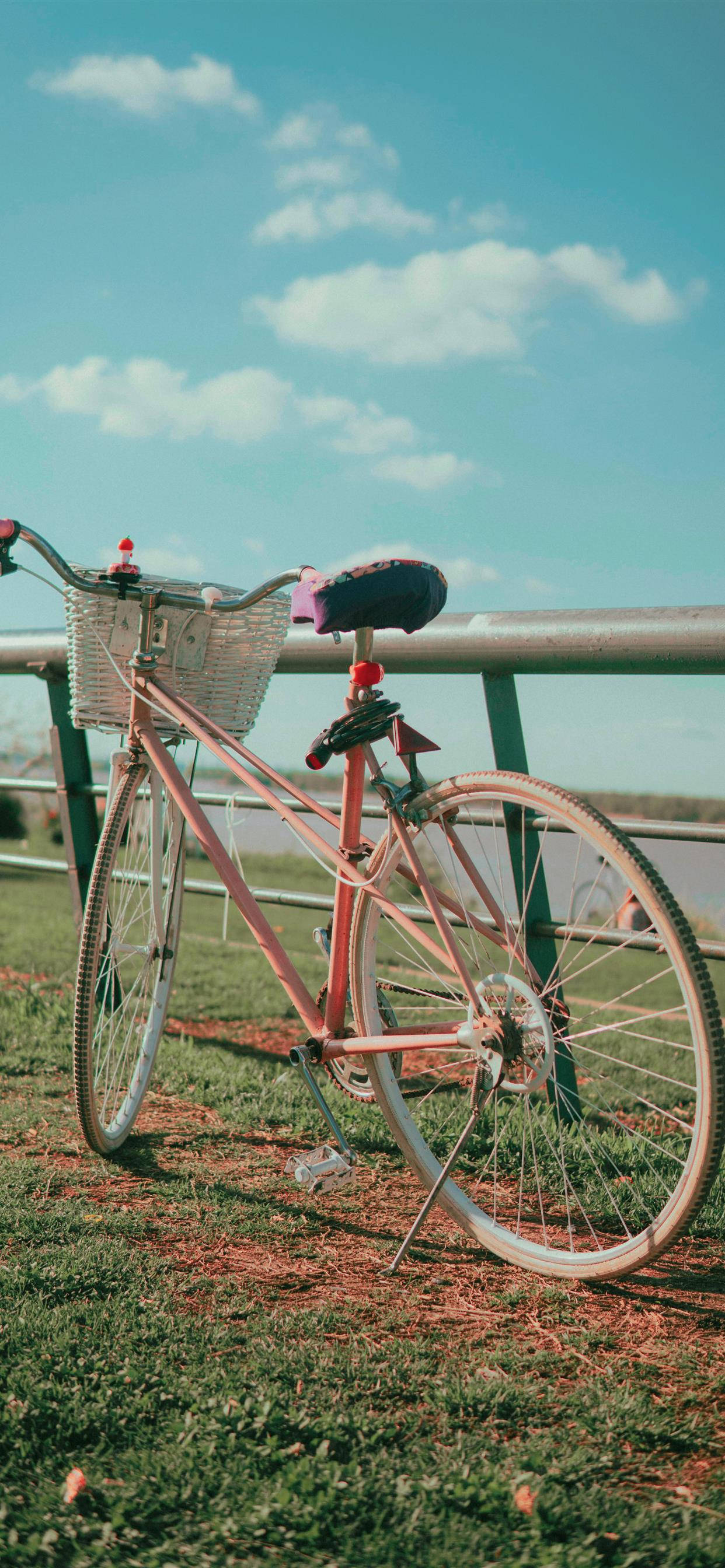 pink utility bikes, vintage pink bicycle, basket, 2K Phone Wallpaper