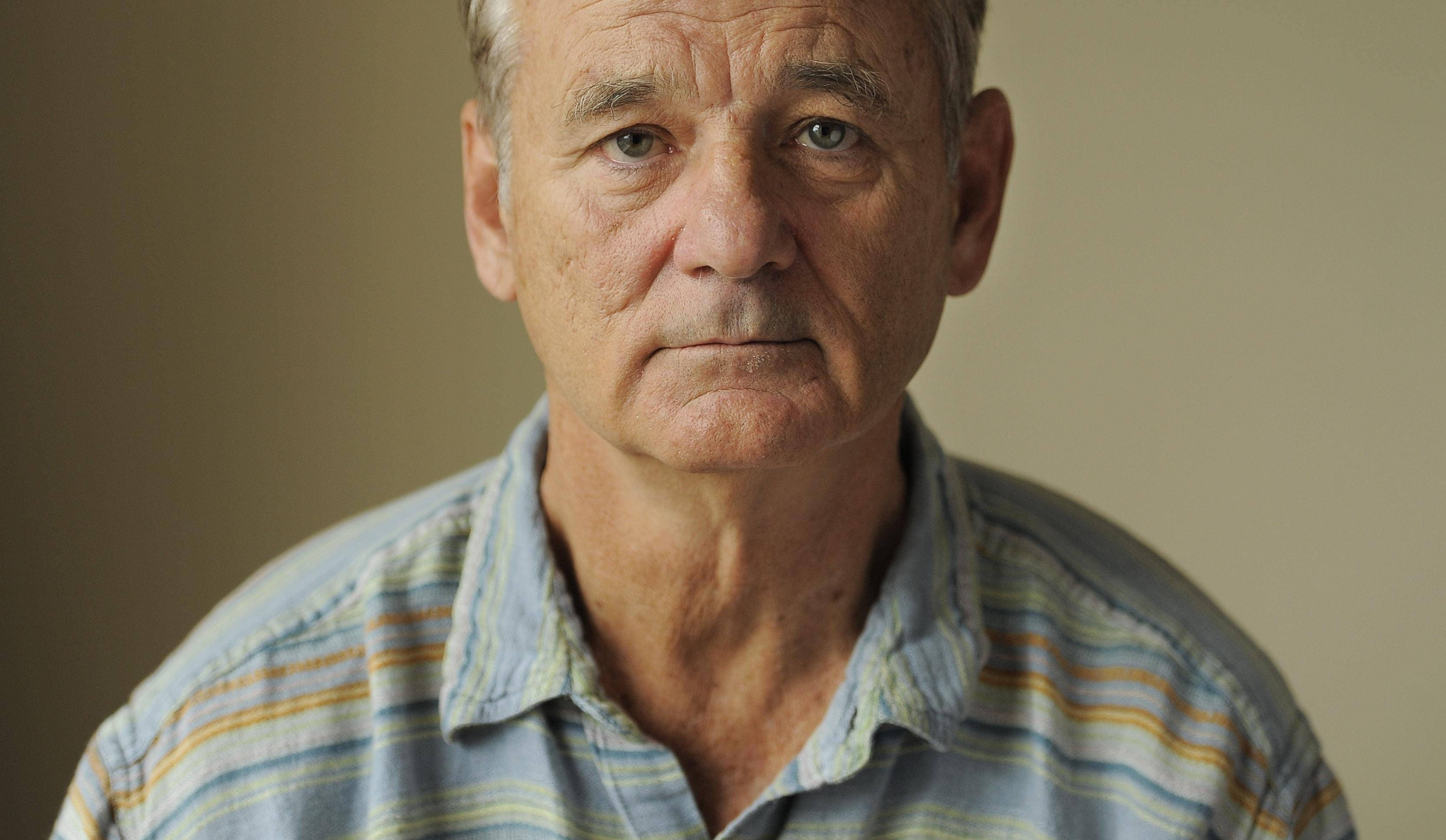 Bill Murray, American actor, gray hair, 2K Desktop Wallpaper