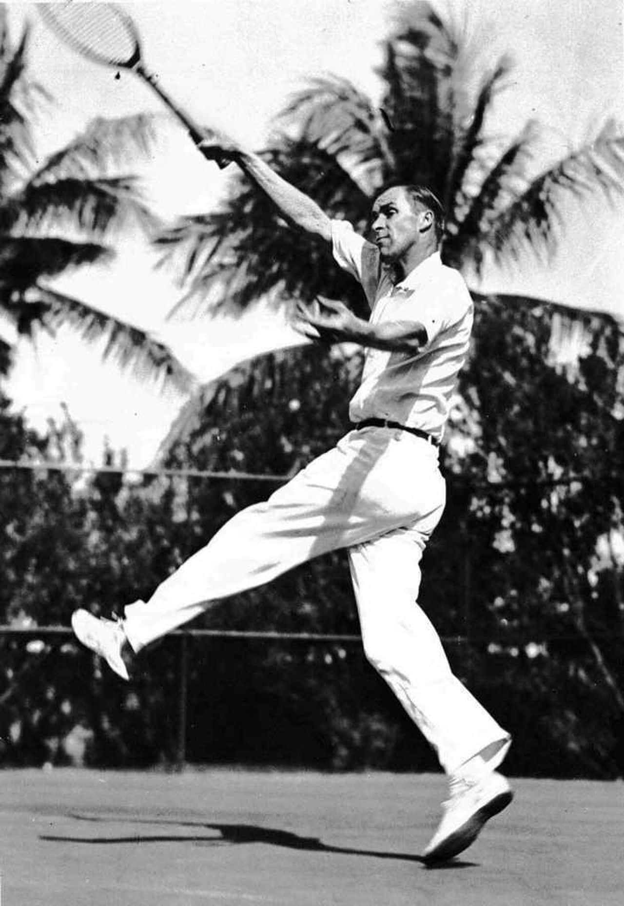Bill Tilden, tennis racket, palm trees, HD Phone Wallpaper