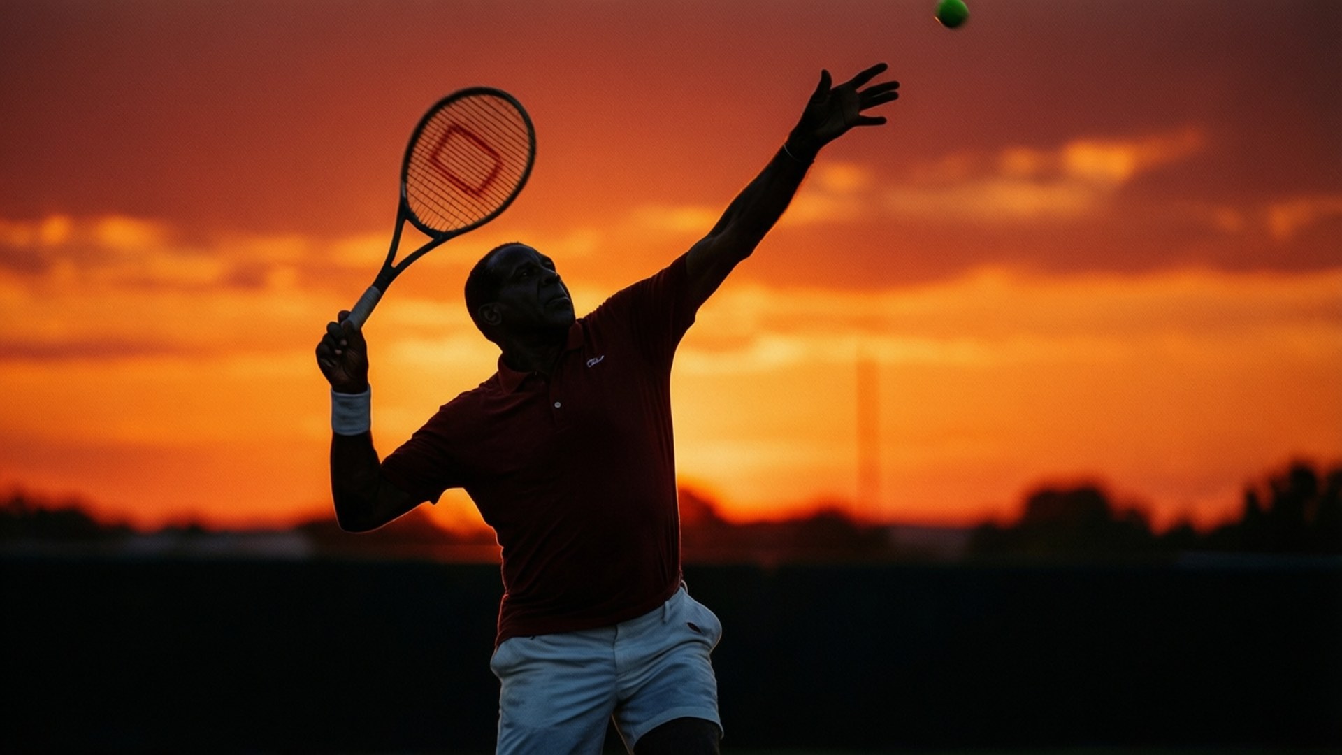 Bill Tilden, sunset sky, silhouette, Full HD Desktop Wallpaper