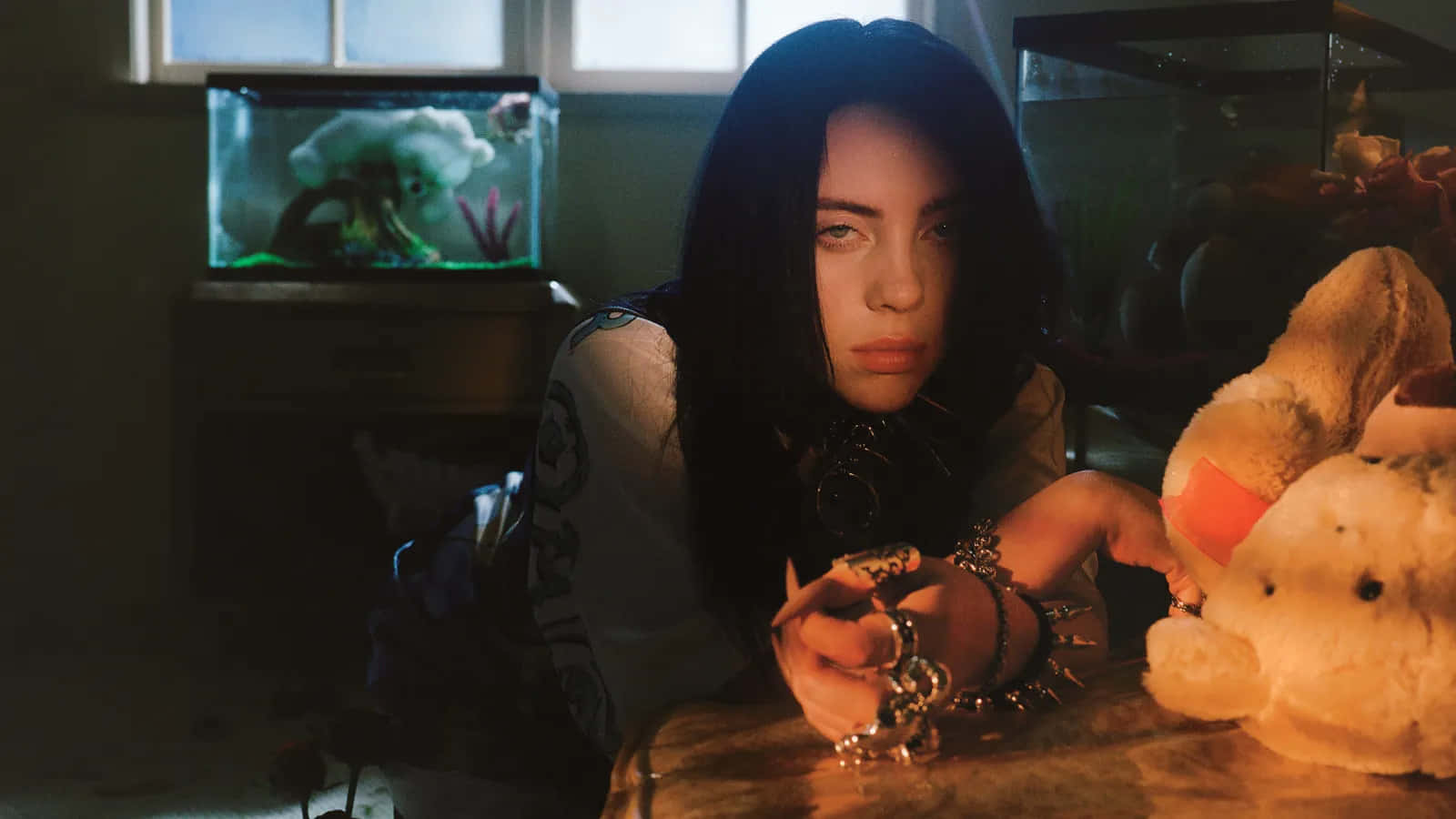 Billie Eilish, fish tank, worn teddy bear, HD Desktop Wallpaper