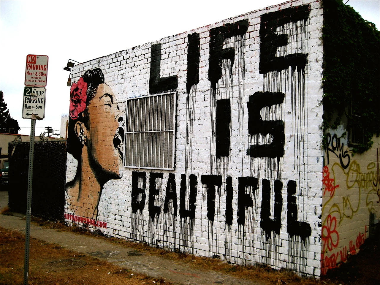 Billie Holiday, red rose, white brick wall, HD Desktop Wallpaper