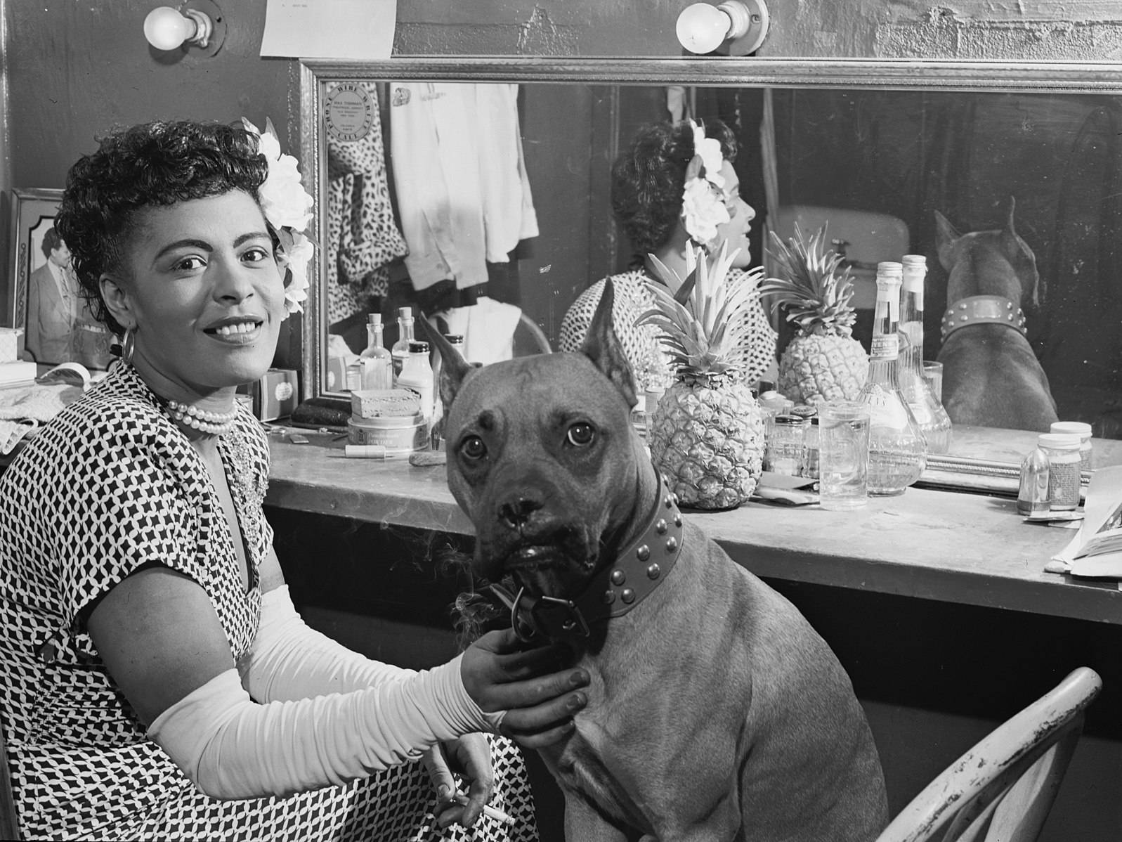Billie Holiday, pit bull, studded collar, HD Desktop Wallpaper