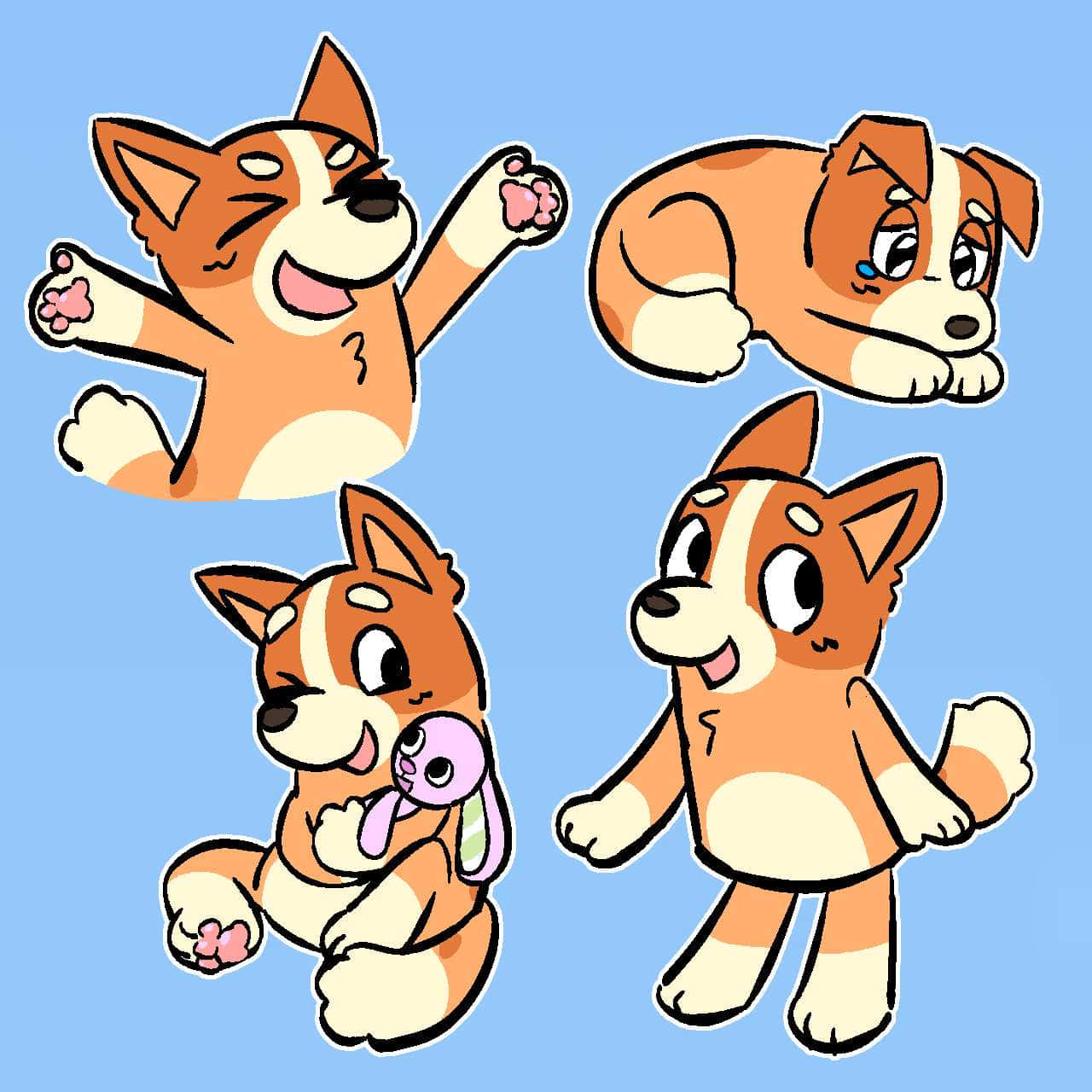 Bingo Bluey, corgi puppies, solid blue background, HD Desktop Wallpaper