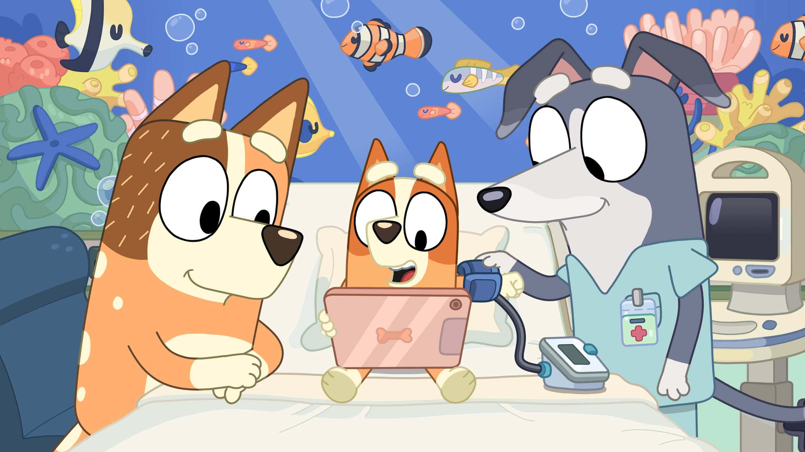 Bluey, Bingo, underwater clinic, 2K Desktop Wallpaper