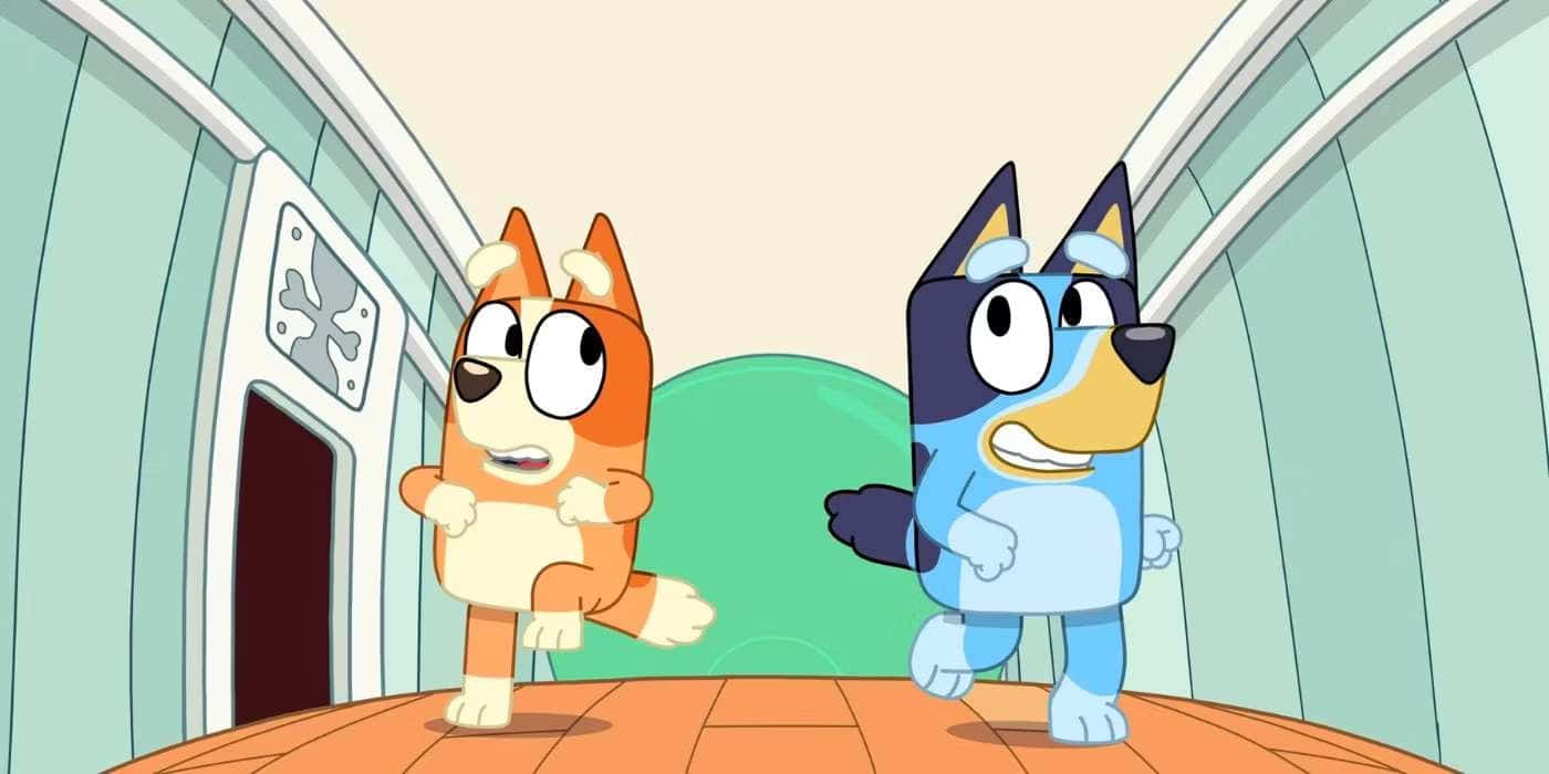 Bluey, Bingo, teal walls, HD Desktop Wallpaper