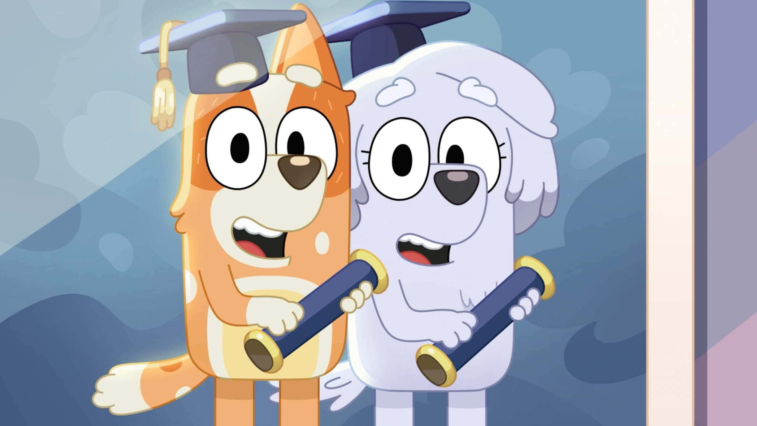 Bluey, Bingo, graduation caps, 2K Desktop Wallpaper