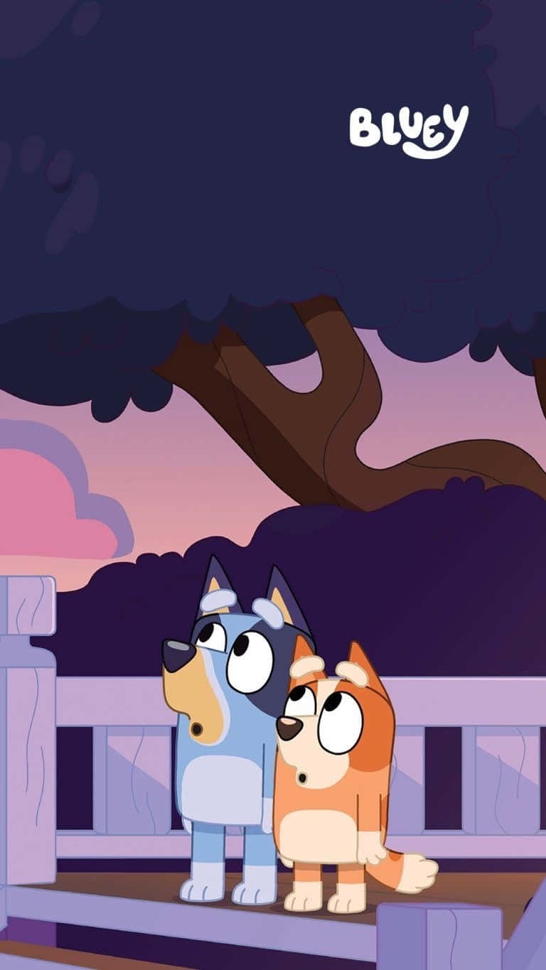 Bluey, Bingo, twilight sky, HD Phone Wallpaper