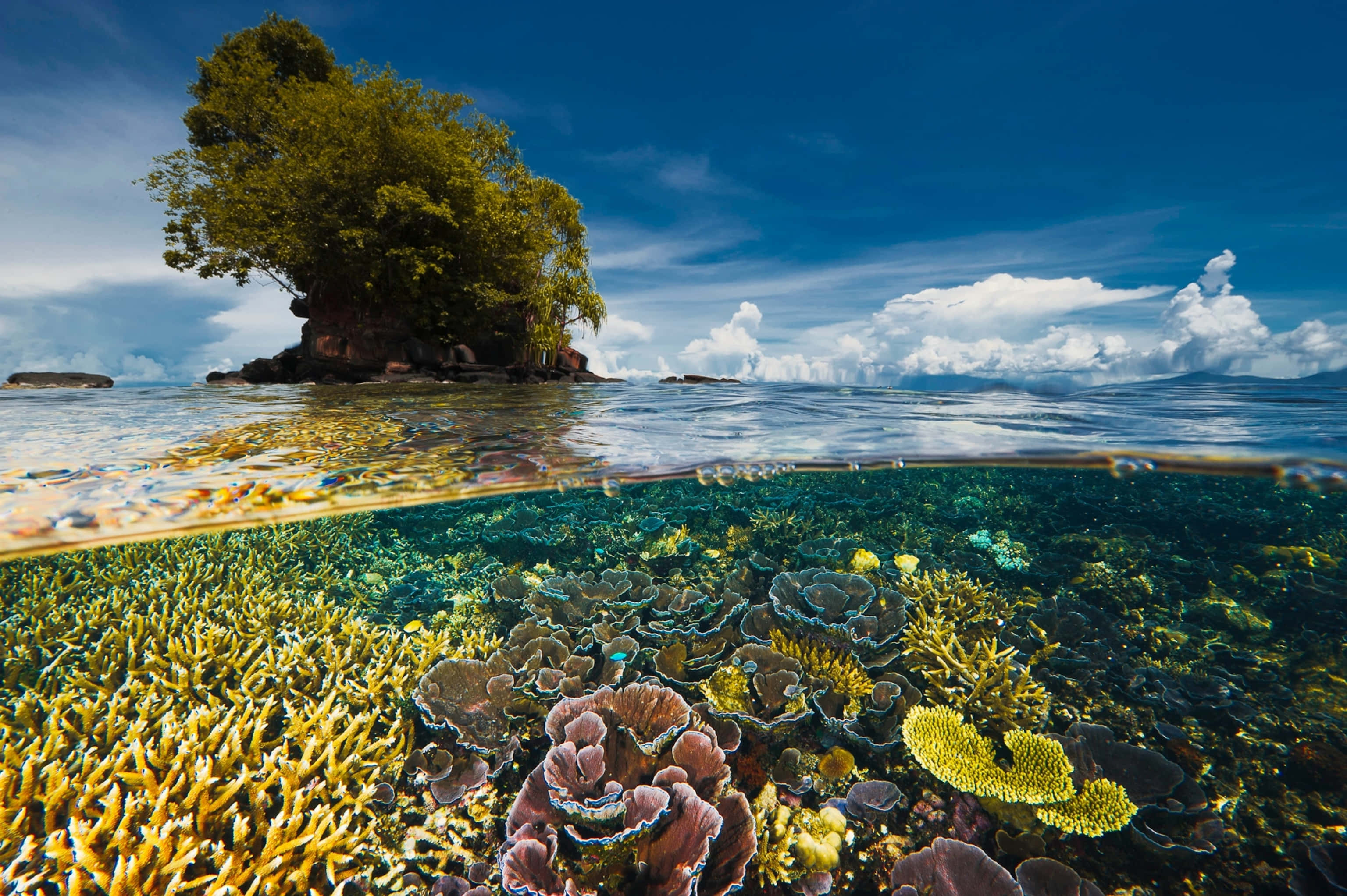 tropical island, coral reef, crystal clear water, 2K Desktop Wallpaper
