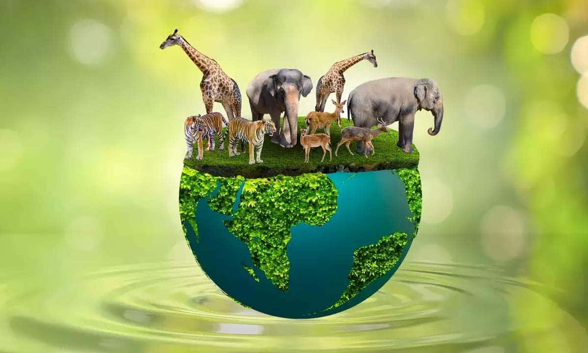 Biodiversityon Earth, globe, lush green foliage, SD Desktop Wallpaper