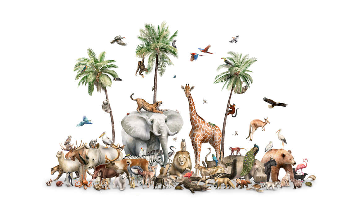 diverse wildlife assembly, palm trees, elephant, SD Desktop Wallpaper