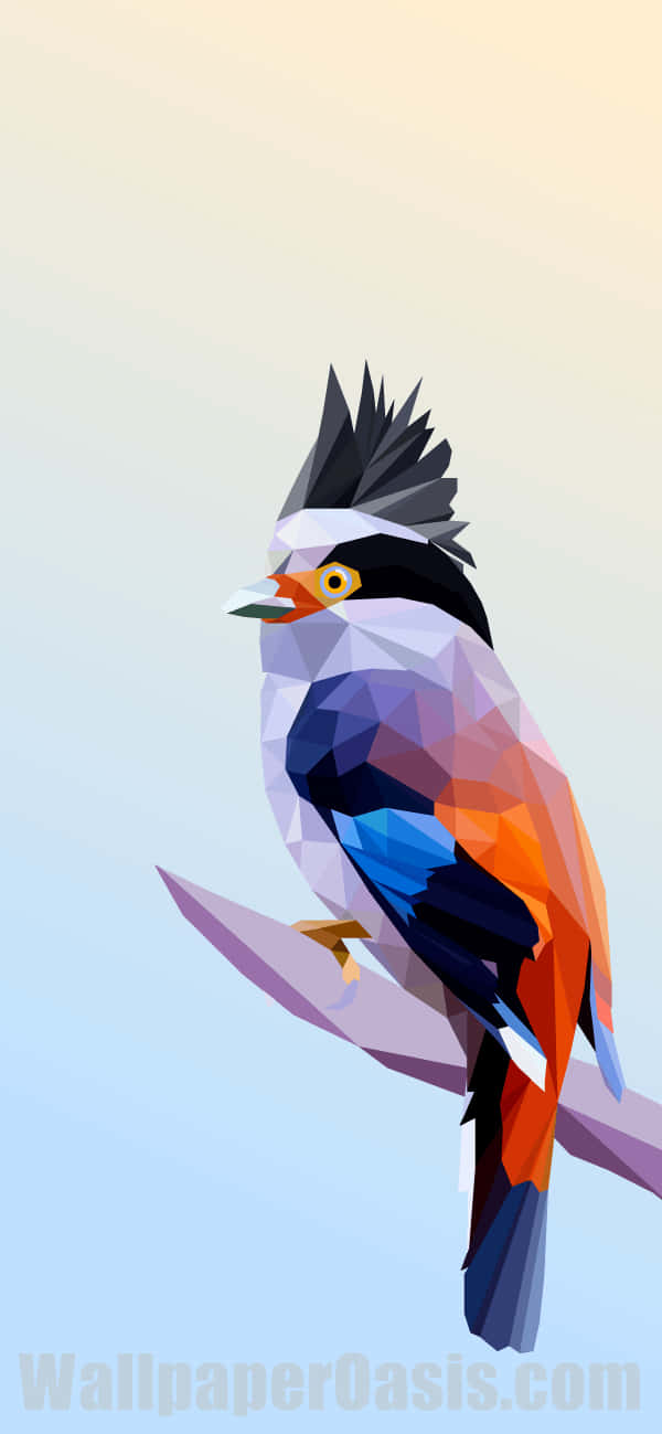 Bird iPhone, low-poly, spiky black crest, HD Phone Wallpaper