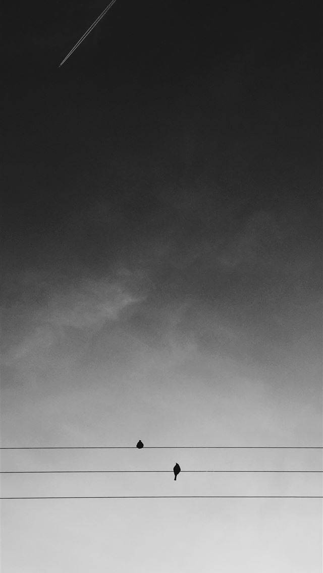 Bird iPhone, dark, parallel wires, SD Phone Wallpaper