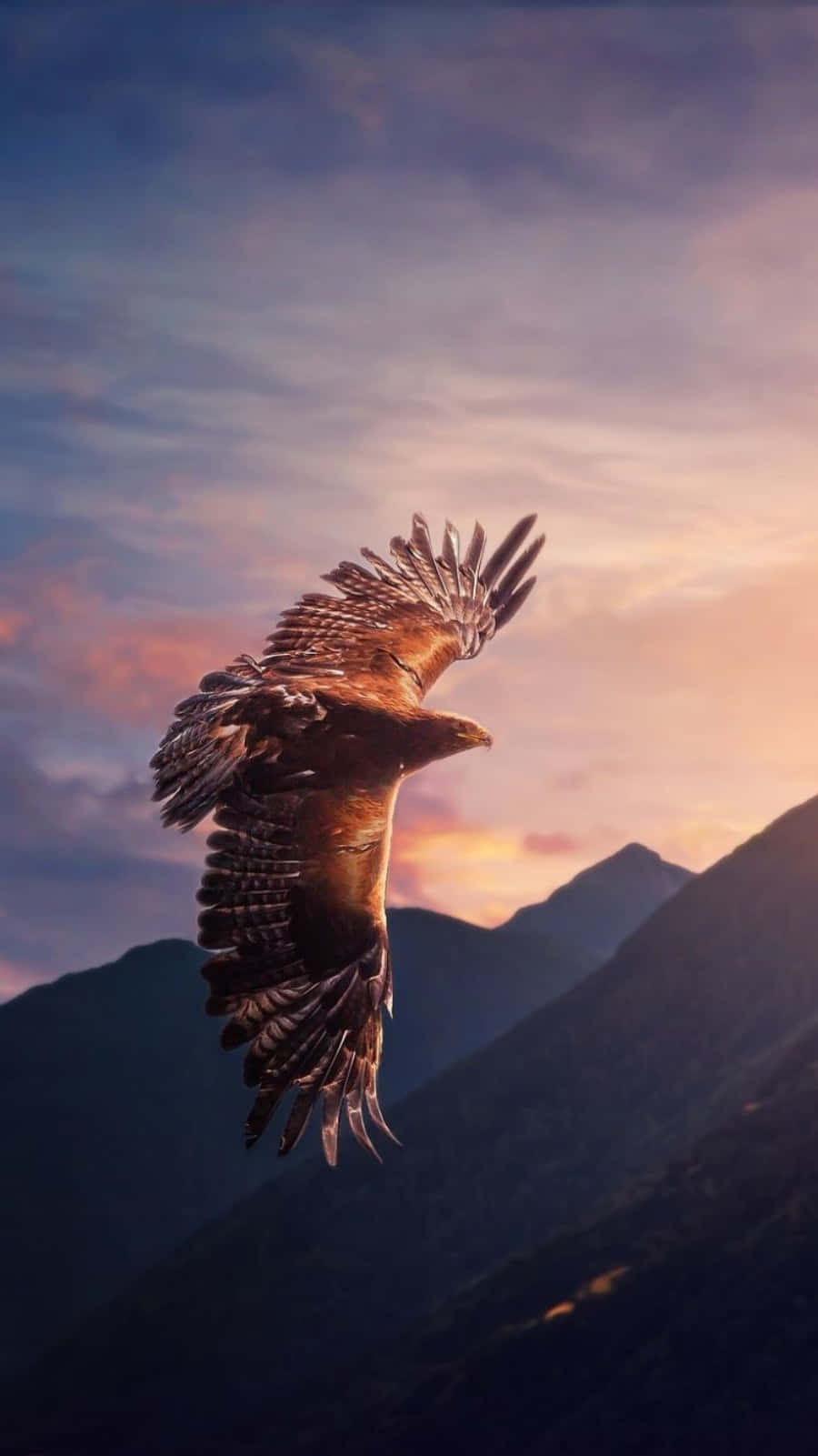 eagle, iPhone, sunset sky, HD Phone Wallpaper
