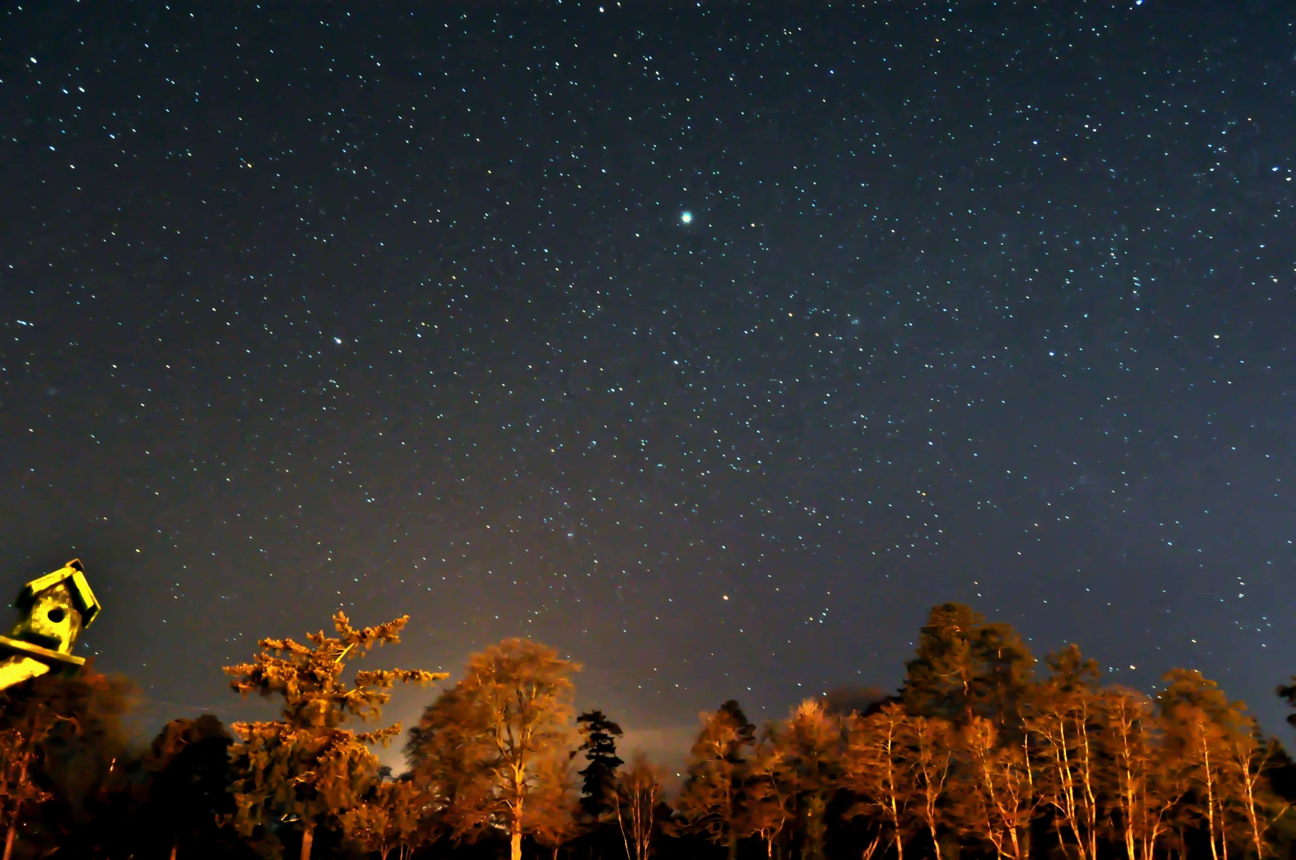 starry night sky, forest silhouette, glowing birdhouse, 4K Desktop Wallpaper