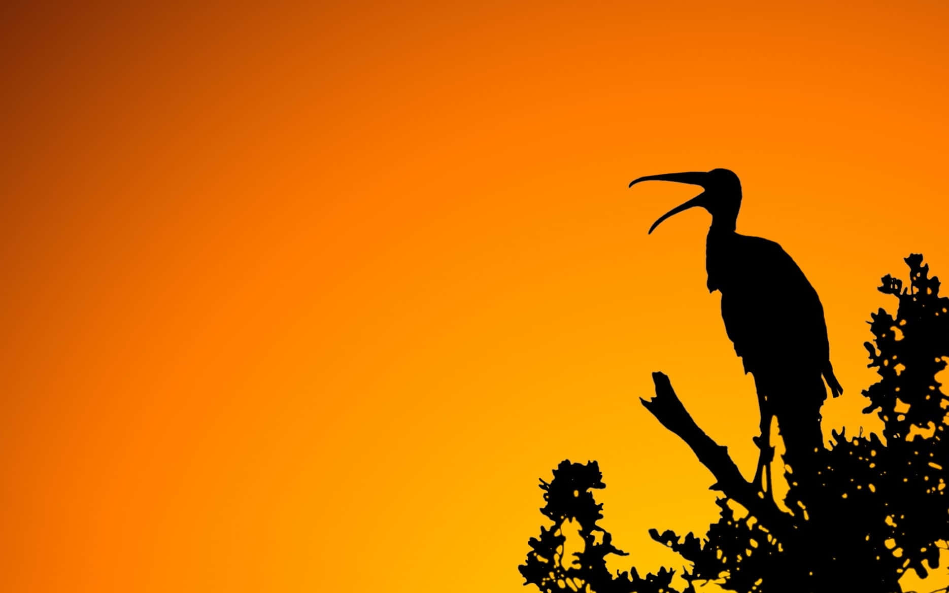 stork, branch, orange sunset sky, HD Desktop Wallpaper