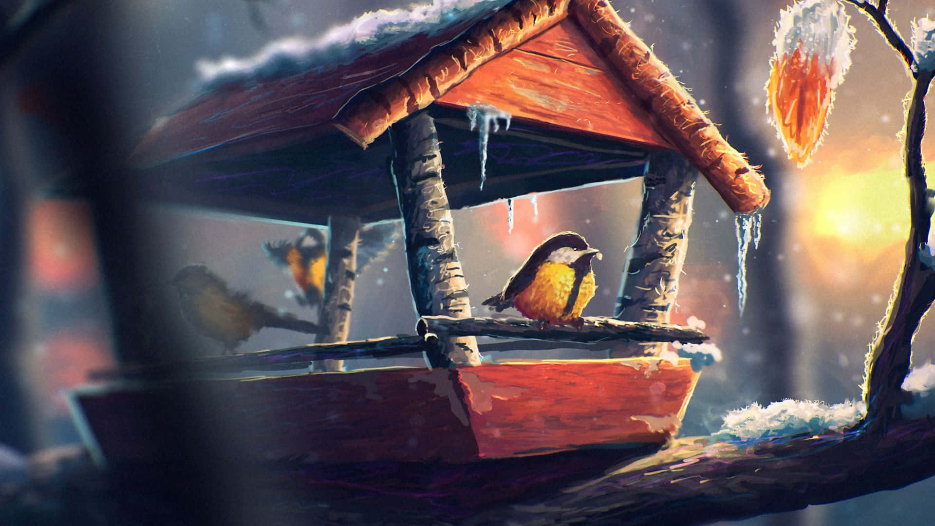 bird sanctuary, sunset, vibrant yellow bird, Full HD Desktop Wallpaper
