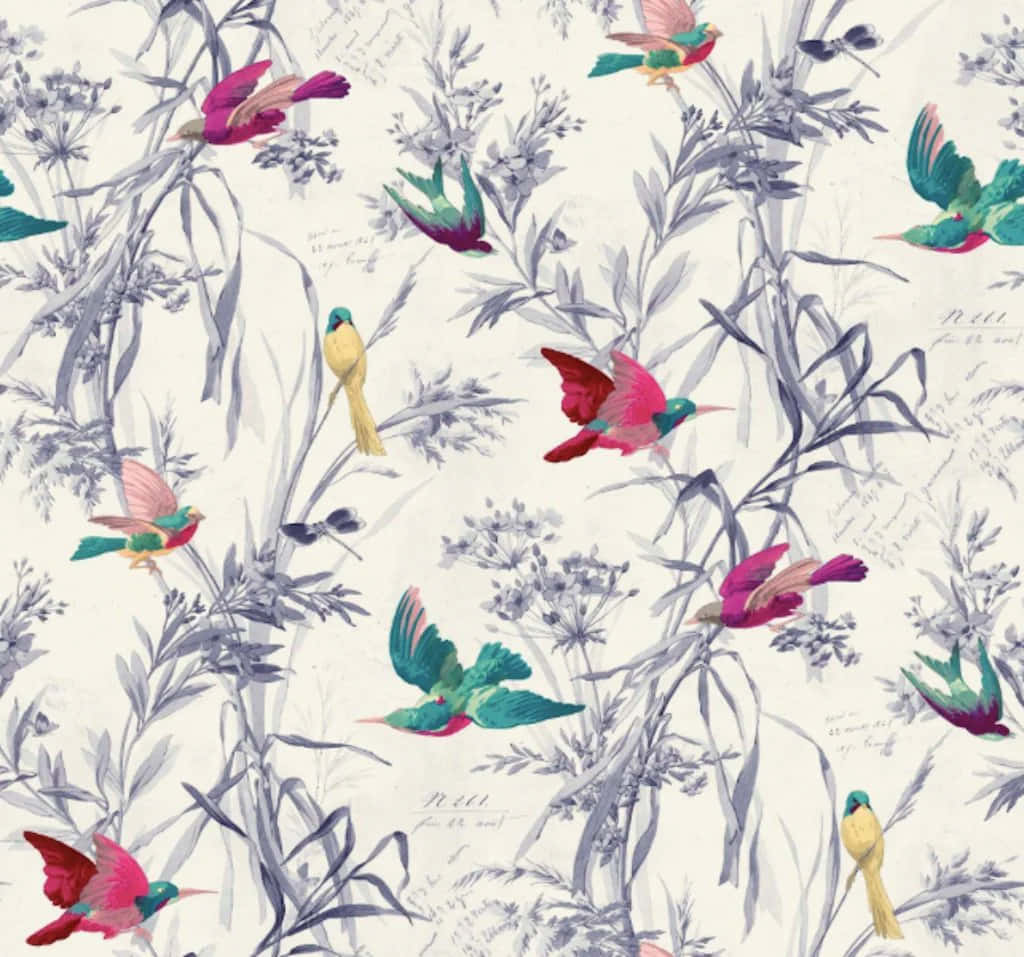 colorful birds pattern, vibrant pink, teal birds, SD Desktop Wallpaper