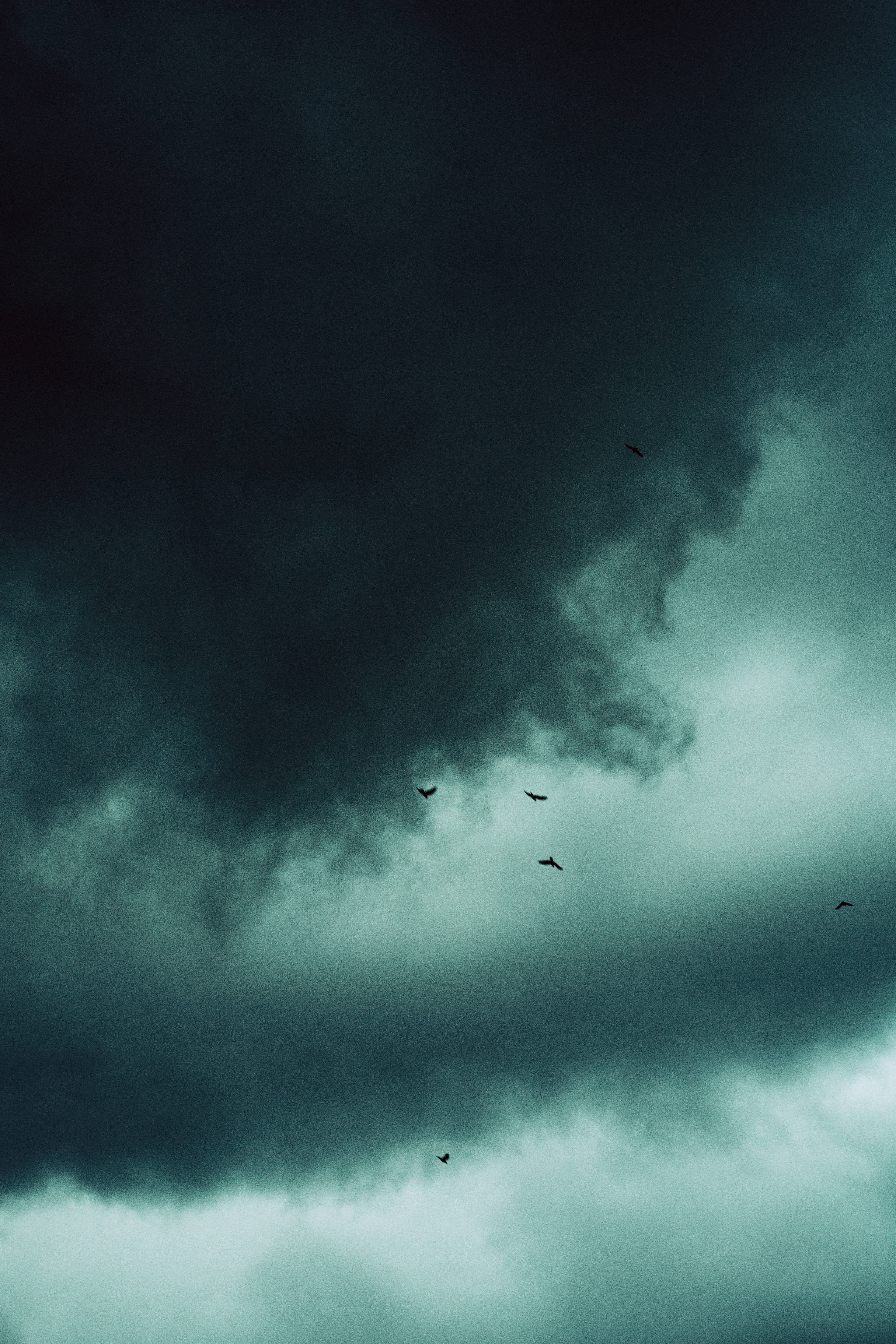 smoky black clouds, silhouetted birds, gloomy teal sky, 5K Phone Wallpaper