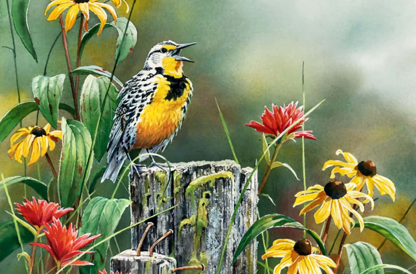 Birds Chirping, vibrant yellow bird, mossy wooden post, HD Desktop Wallpaper