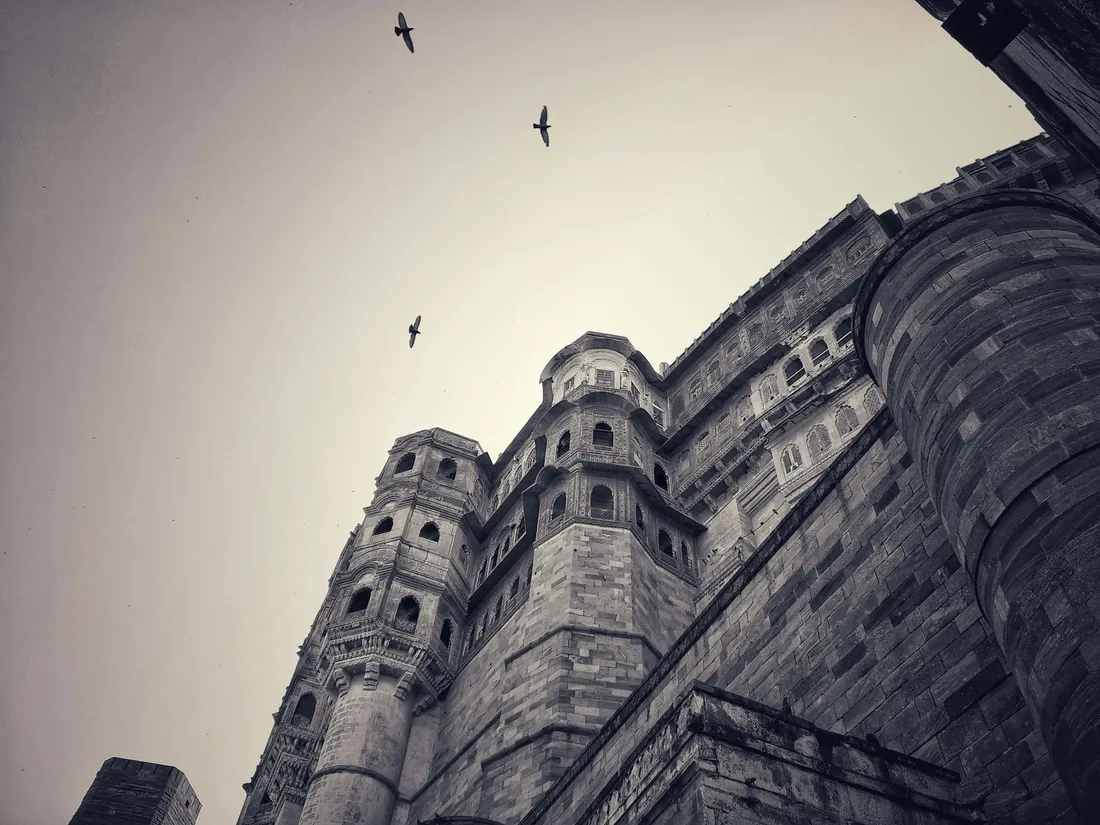 Birds Flying