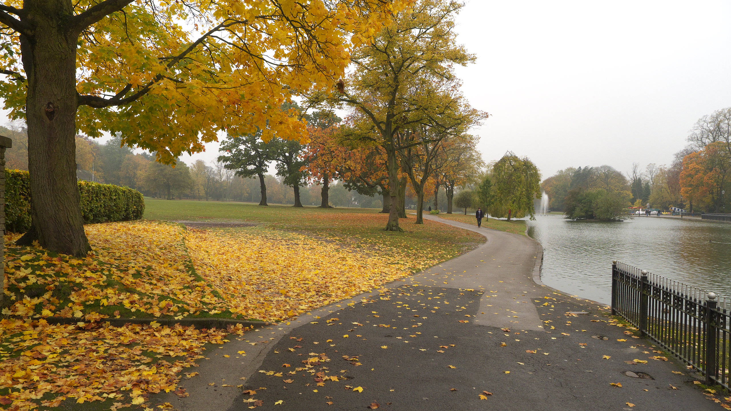 Birmingham, autumn park, golden trees, 2K Desktop Wallpaper