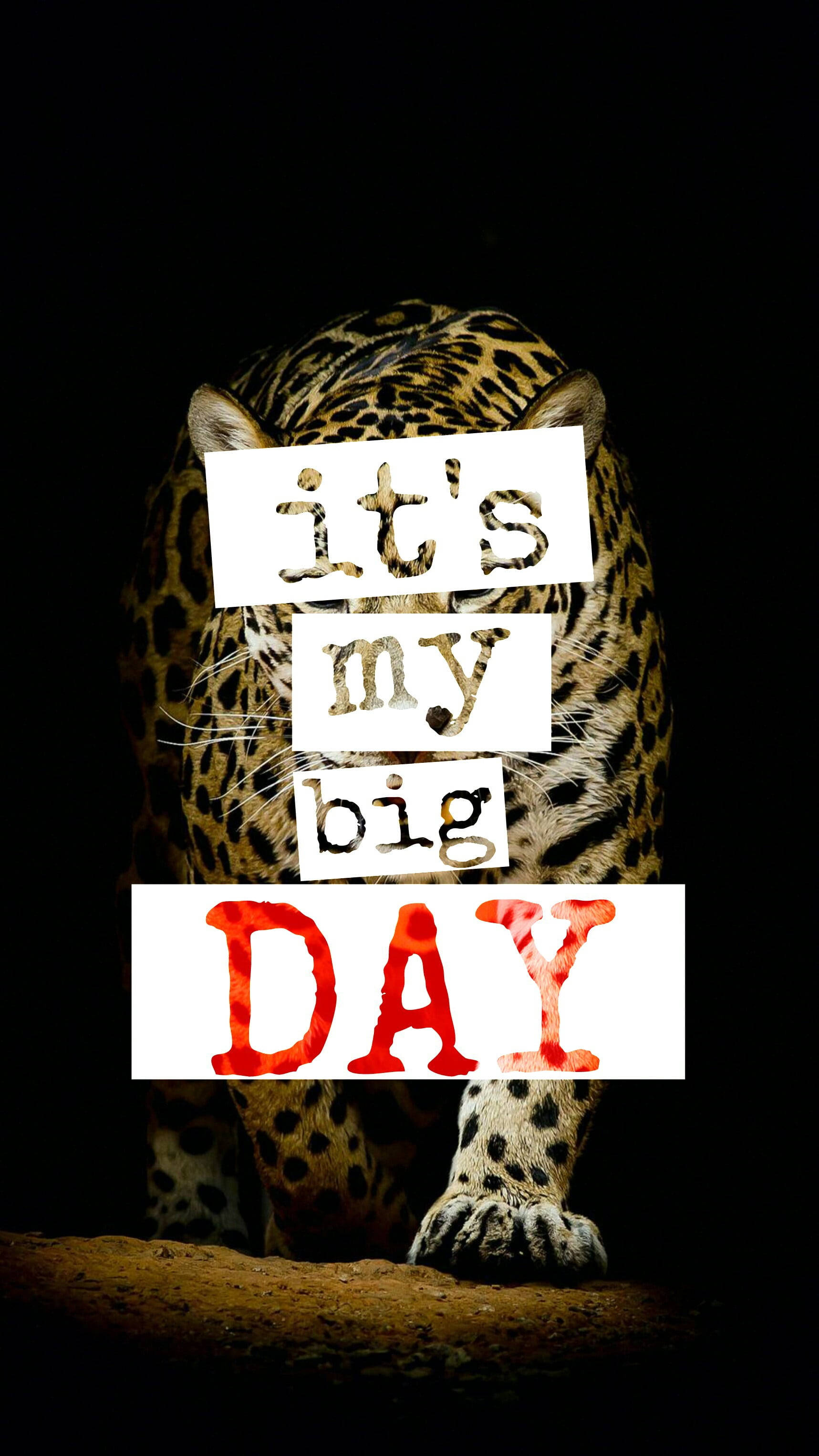 jaguar, bold text, dark background, 2K Phone Wallpaper