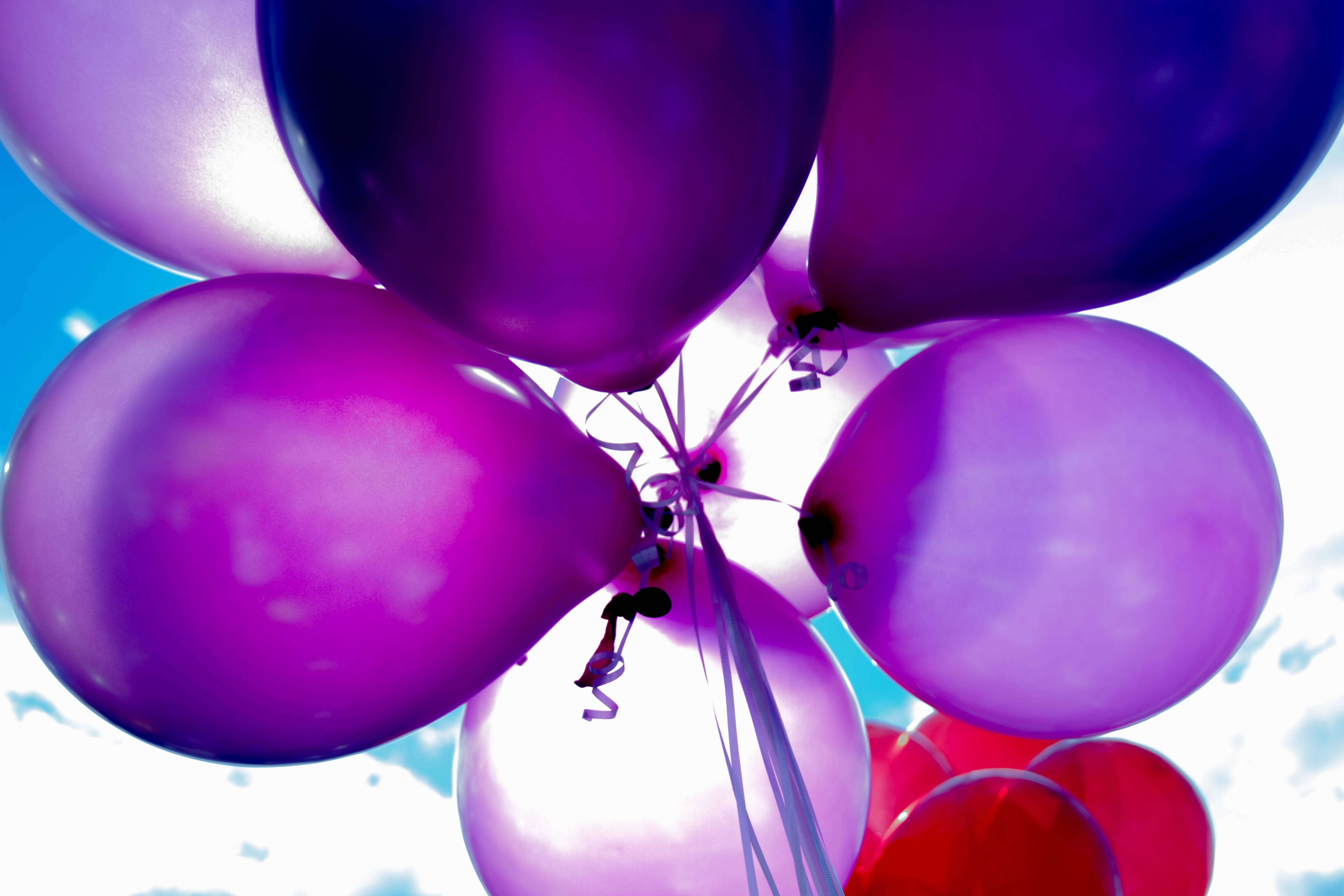 birthday, purple balloons, bright blue sky, 5K Desktop Wallpaper