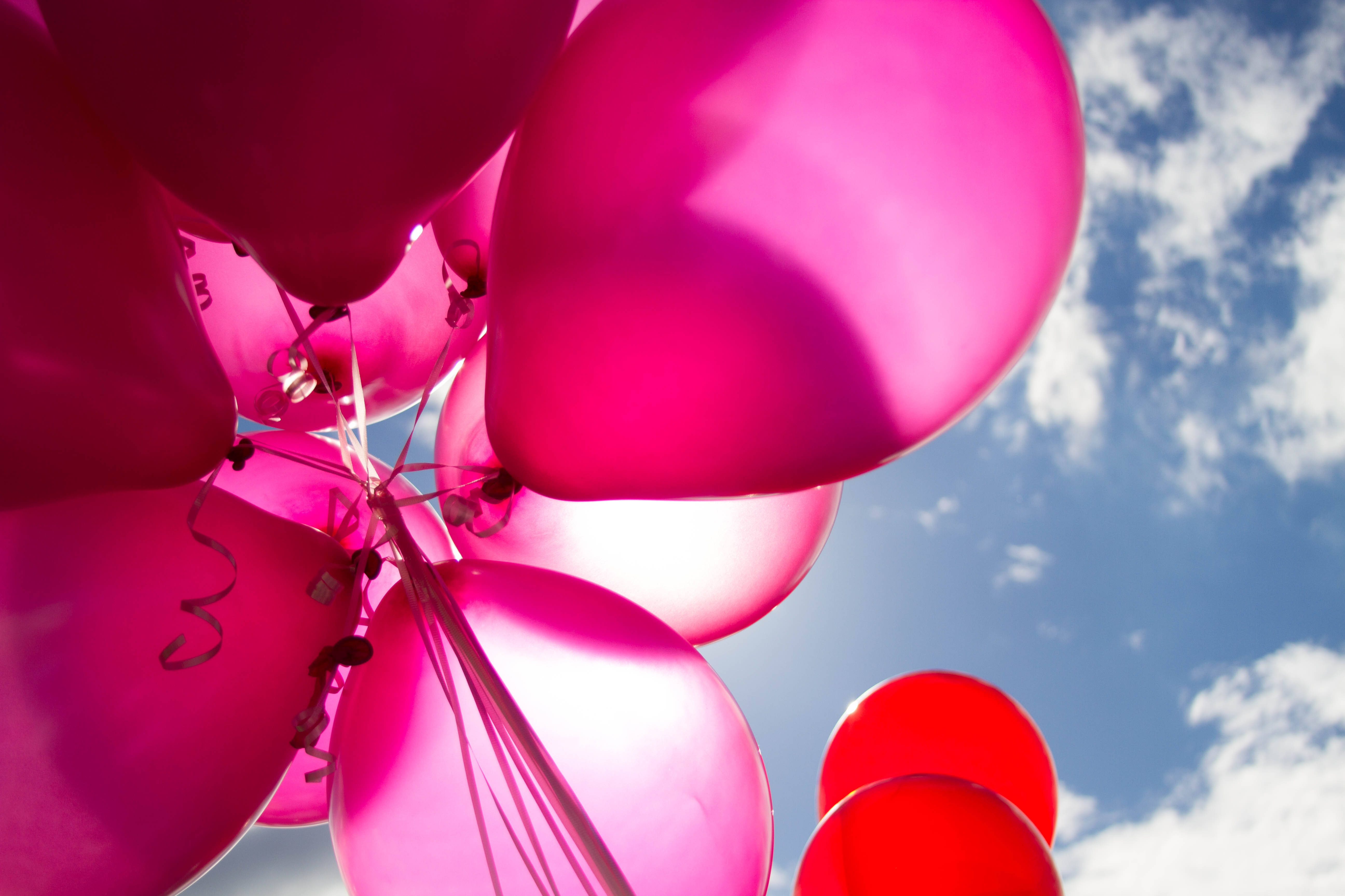 birthday, pink balloons, red balloons, 5K Desktop Wallpaper