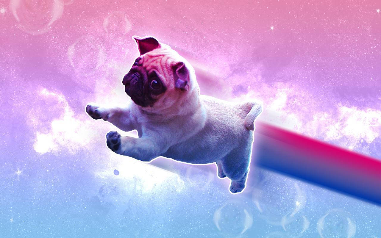 Bisexual Aesthetic, rainbow pug, cosmic nebula, HD Desktop Wallpaper