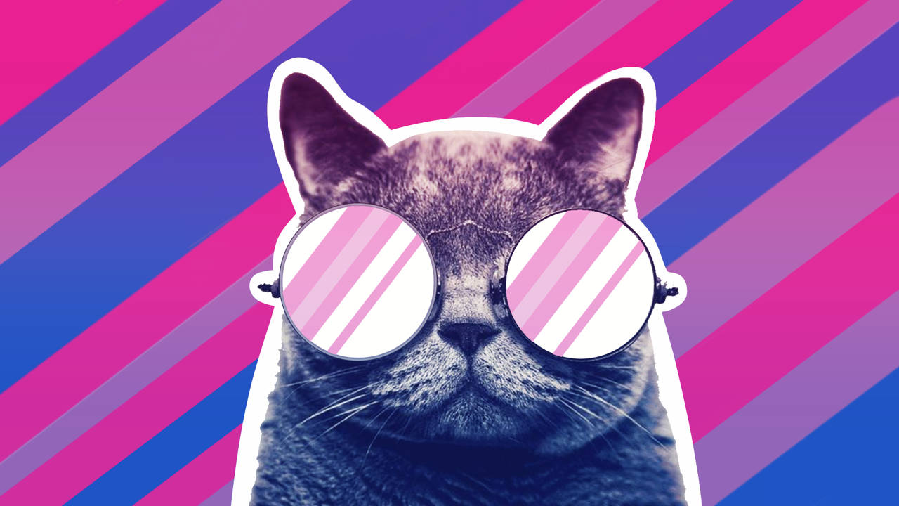 bisexual cat, round sunglasses, vibrant pink and blue striped background, HD Desktop Wallpaper