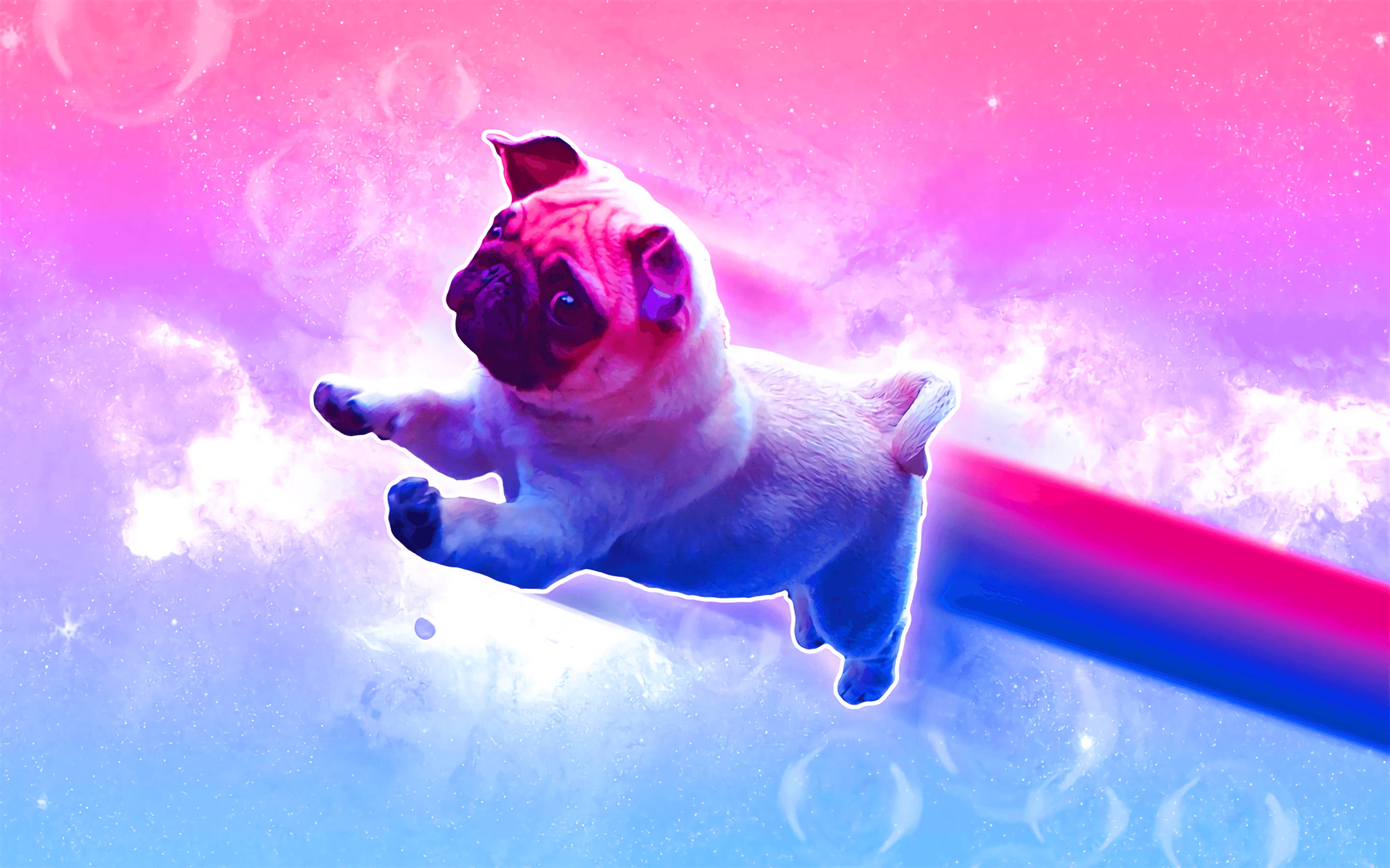 Bisexual flag, pug puppy, cosmic nebula, 2K Desktop Wallpaper