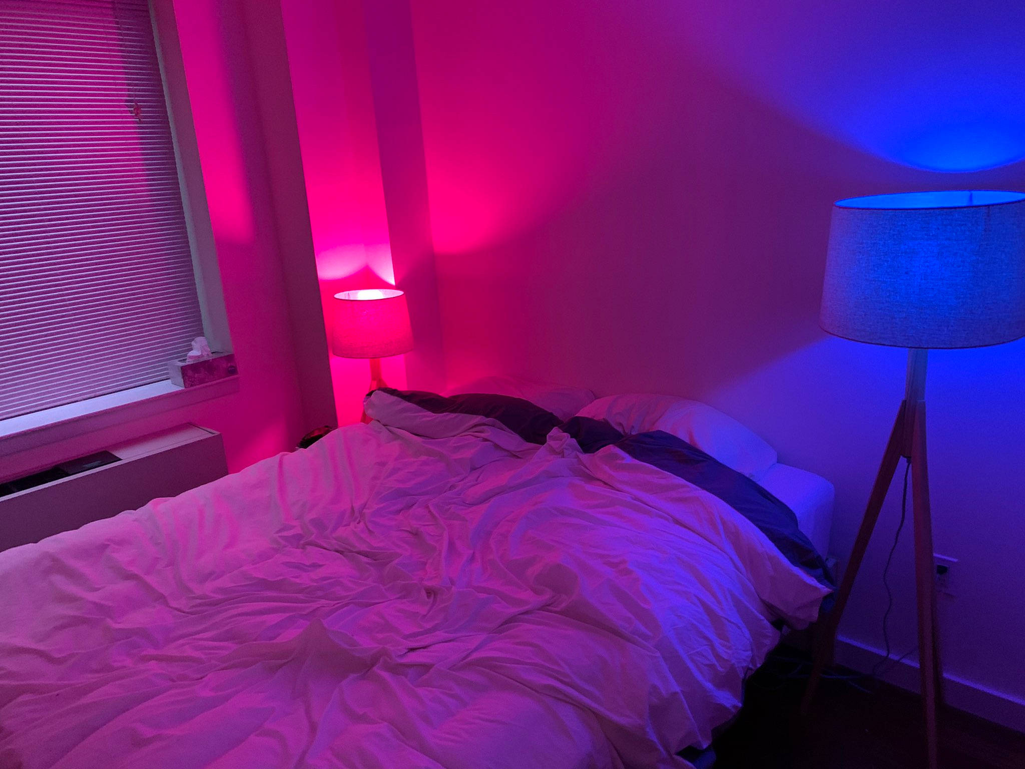 bisexual lit bedroom, pink and blue ambient light, two lamps, Full HD Desktop Wallpaper