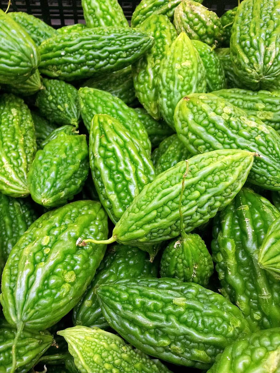 bitter gourd, Mexican short variety, vibrant green, SD Phone Wallpaper