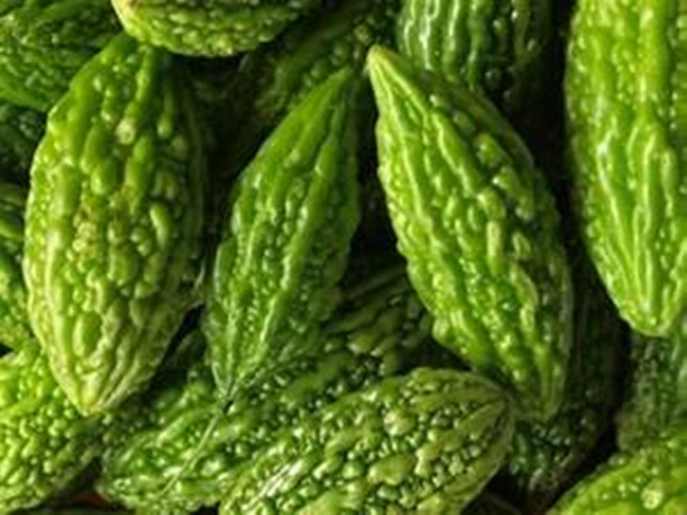 bitter gourd, vibrant green, bumpy textured skin, SD Desktop Wallpaper