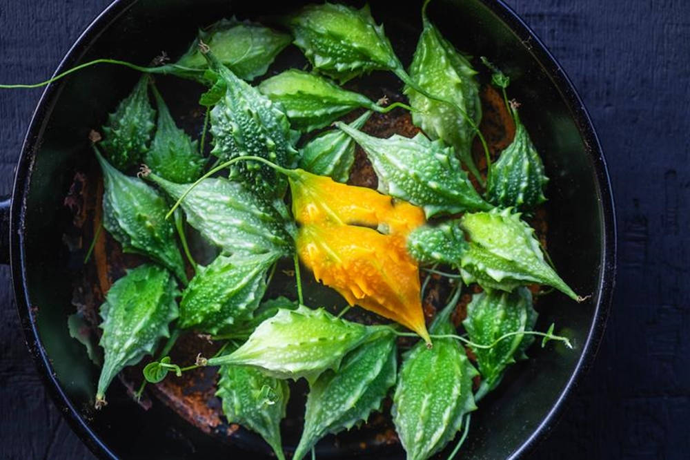 bitter gourd, balsam pear, dark bowl, SD Desktop Wallpaper