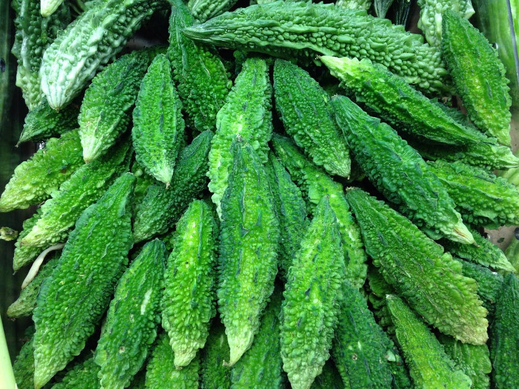bitter gourd, rough skinned vegetable, fresh green bitter melons, SD Desktop Wallpaper