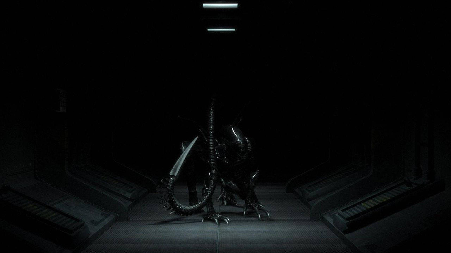biomechanical alien creature, dark futuristic corridor, overhead lights, Full HD Desktop Wallpaper