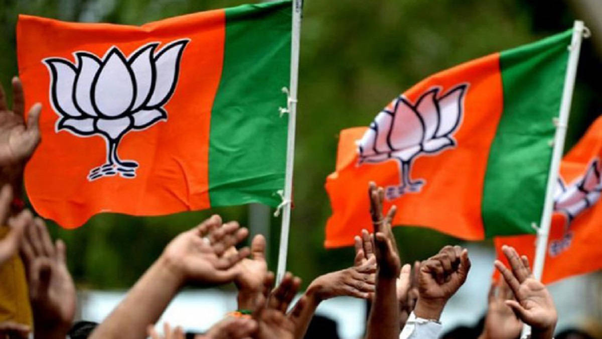 BJP, lotus logo, orange and green flags, SD Desktop Wallpaper